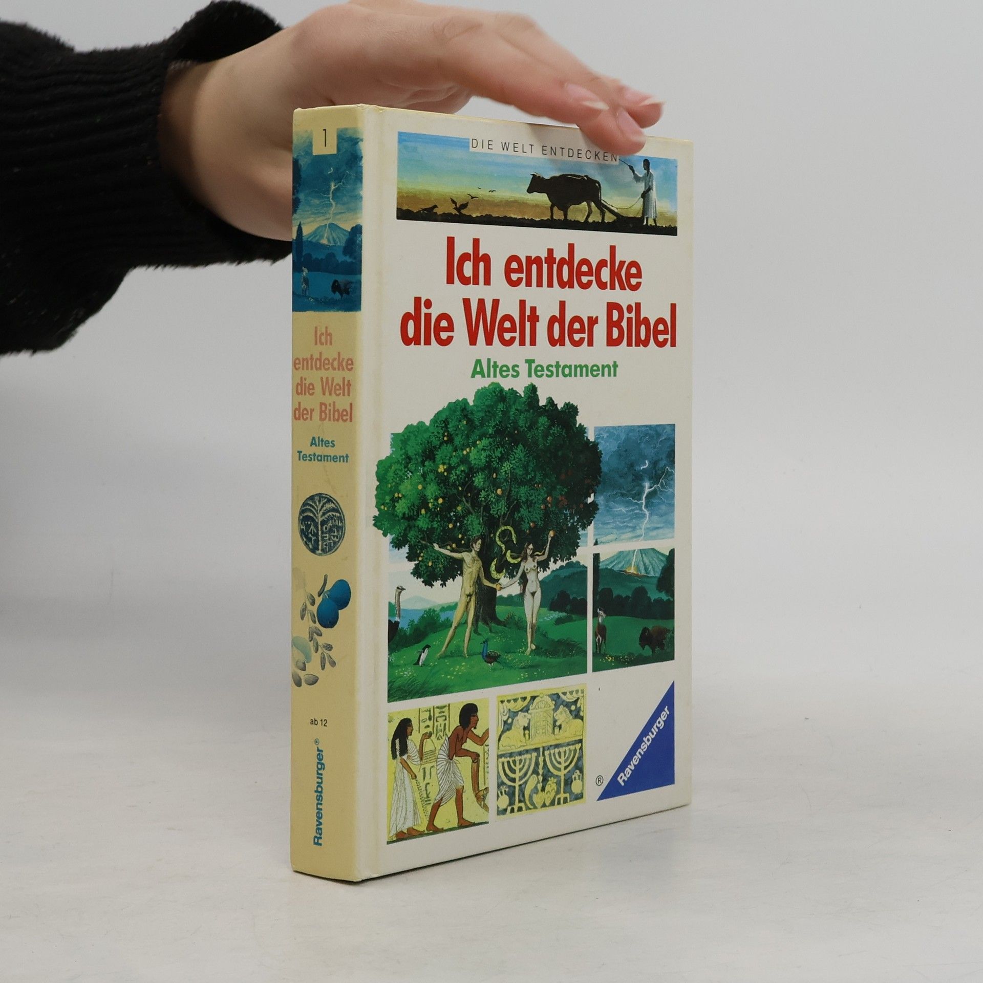 Jacques Musset Ich entdecke die Welt der Bibel