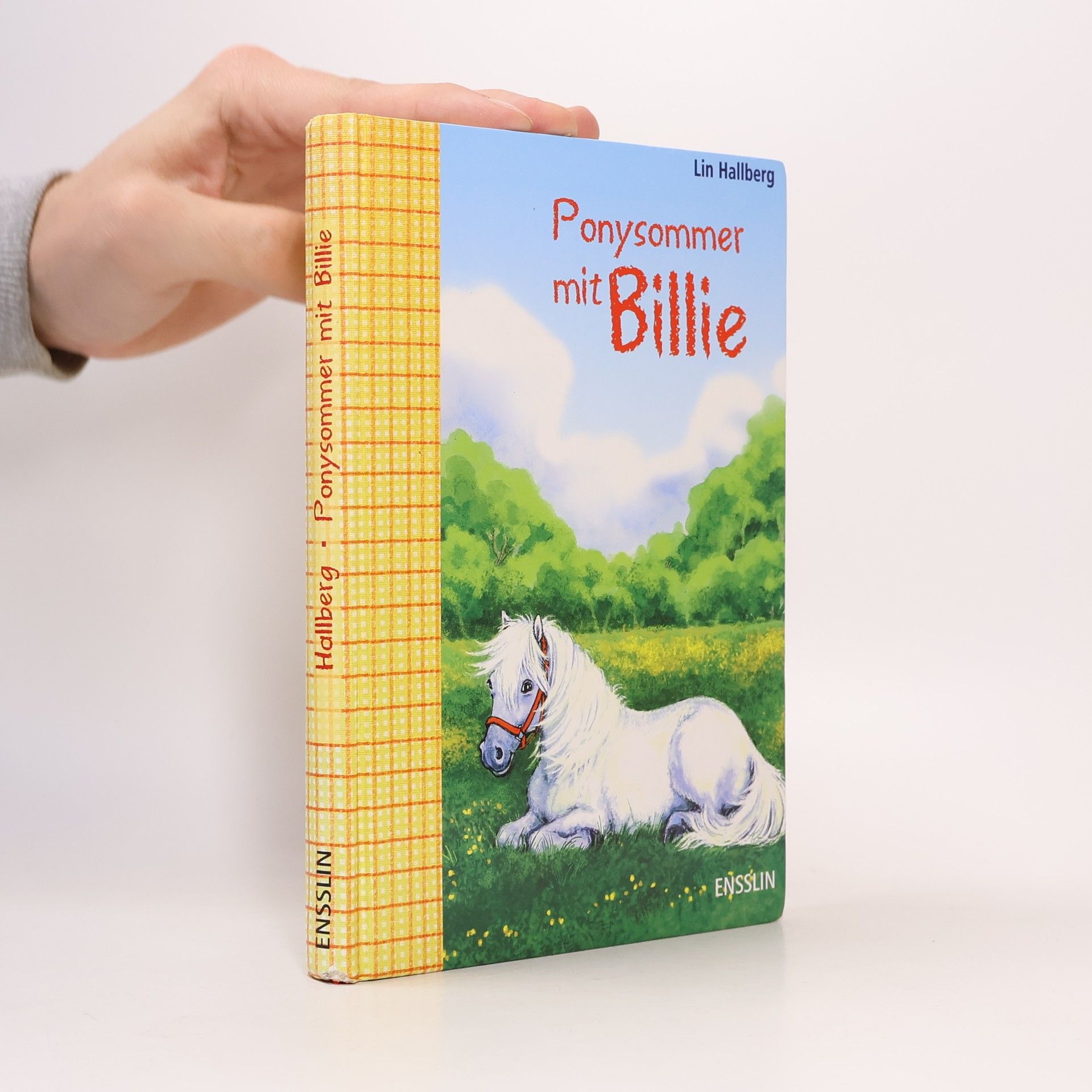 Lin Hallberg Ponysommer mit Billie