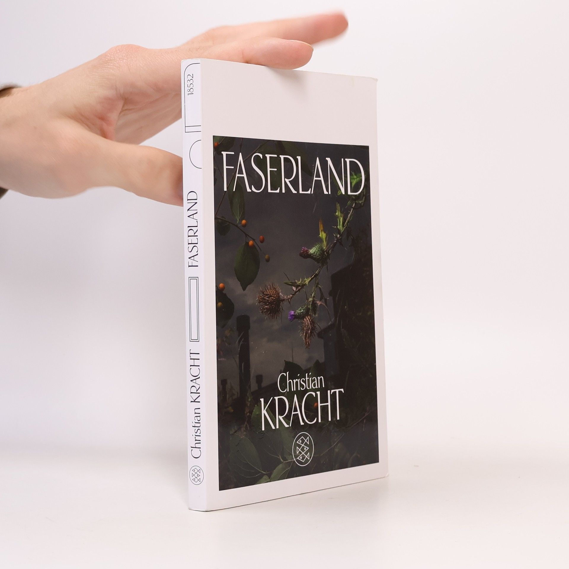Christian Kracht Faserland