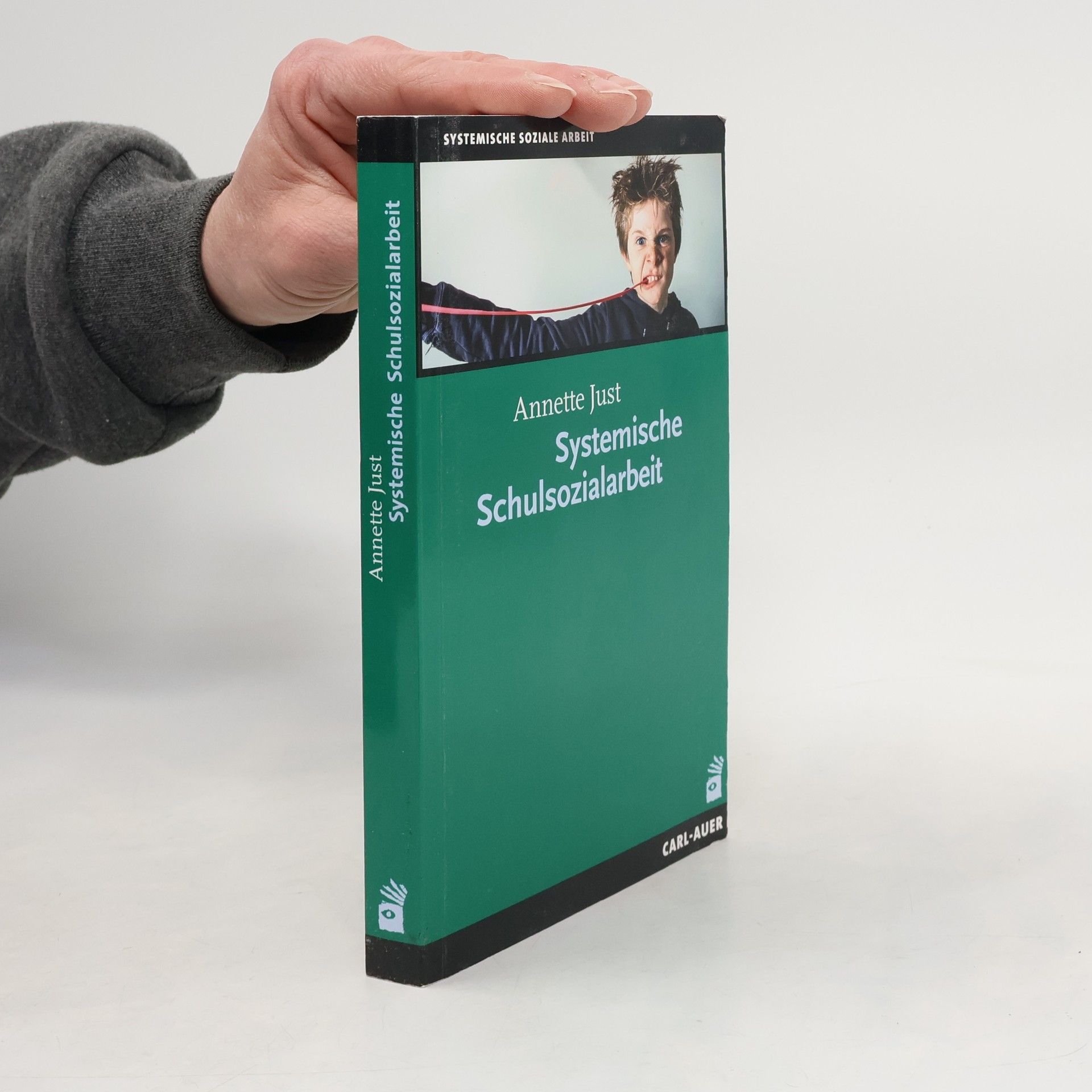 Annette Just Systemische Schulsozialarbeit