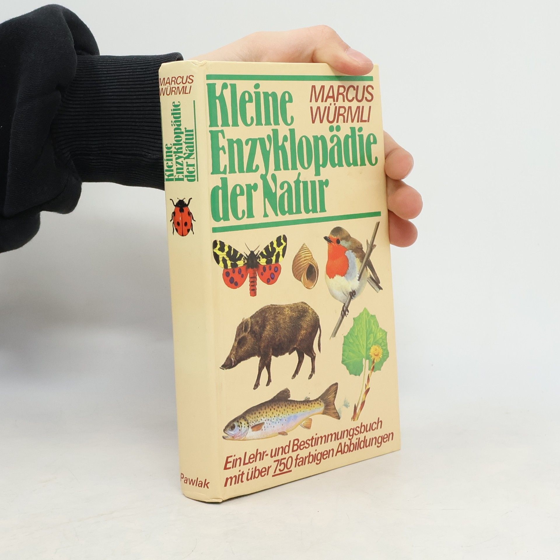 Marcus Würmli Kleine Enzyklopädie der Natur