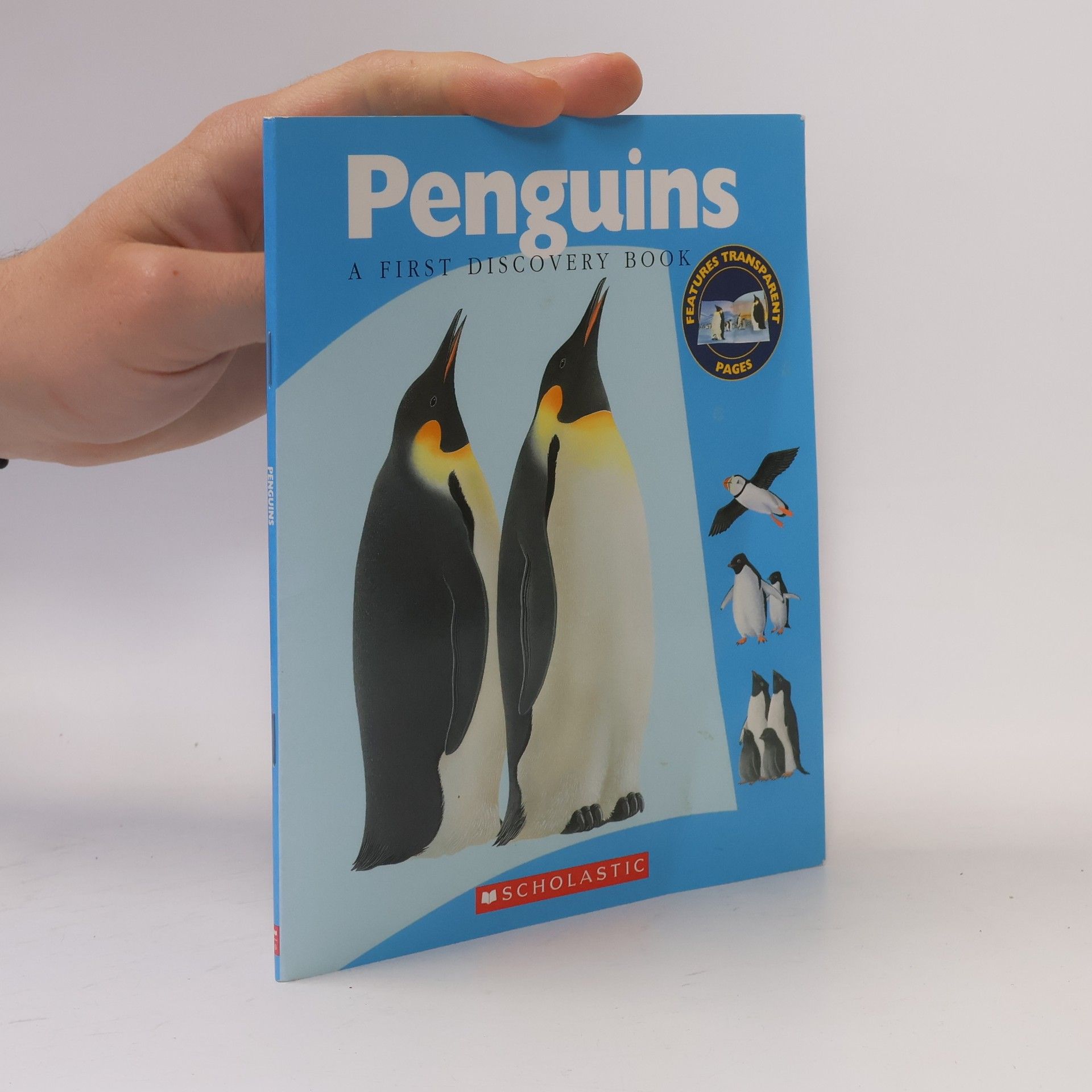 Rene Mettler Penguins
