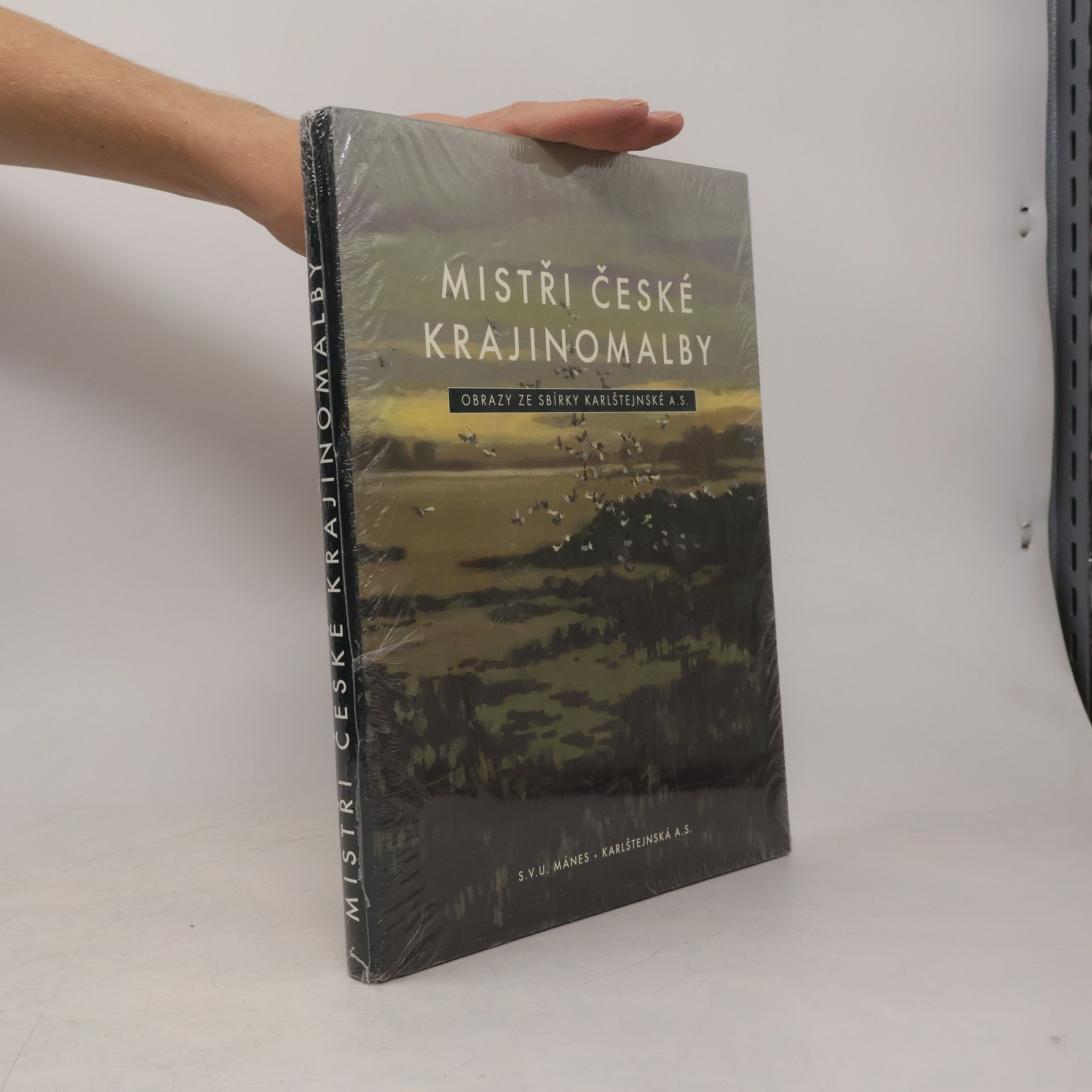 Kolektiv autorů Mistři české krajinomalby