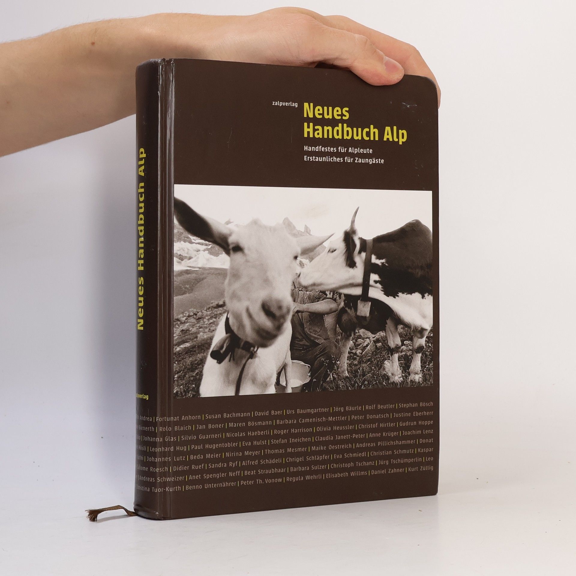 Peter Th. Vonow Neues Handbuch Alp