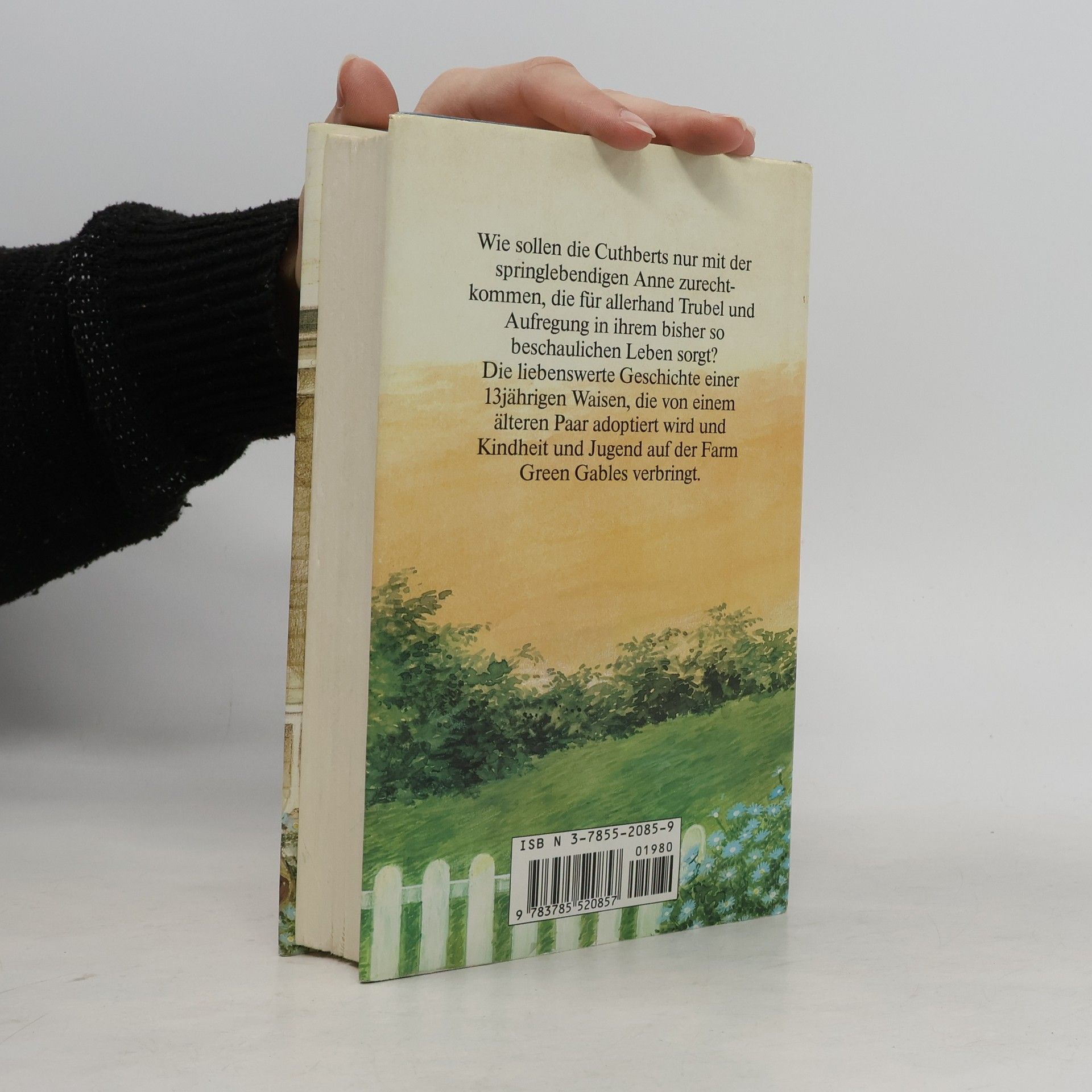 Lucy Maud Montgomeryová Anne auf Green Gables