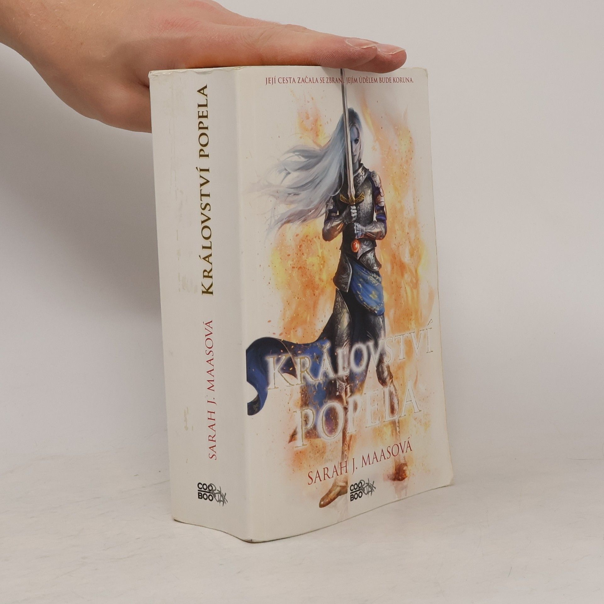 Sarah J. Maas Království popela