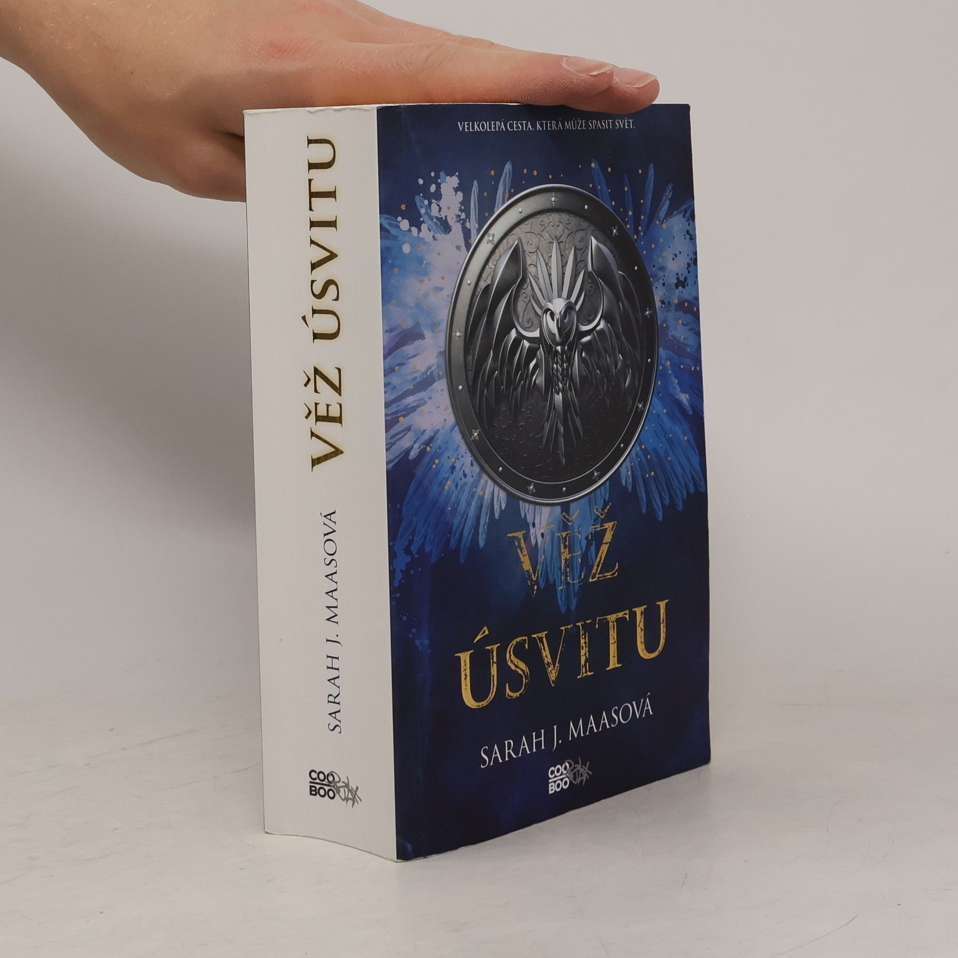 Sarah J. Maas Věž úsvitu
