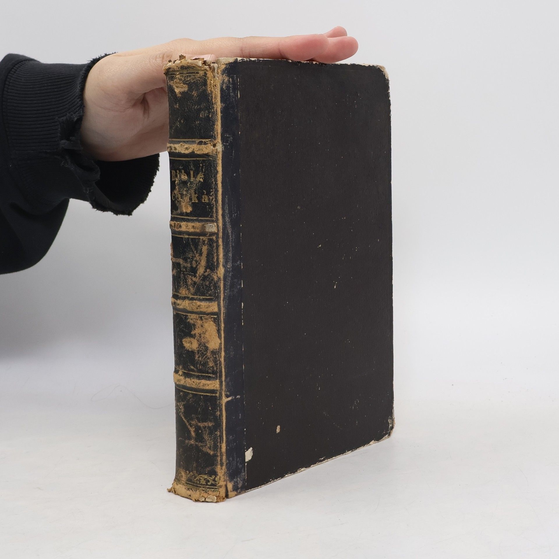 Autorenkollektiv Bible česká. Díl třetí