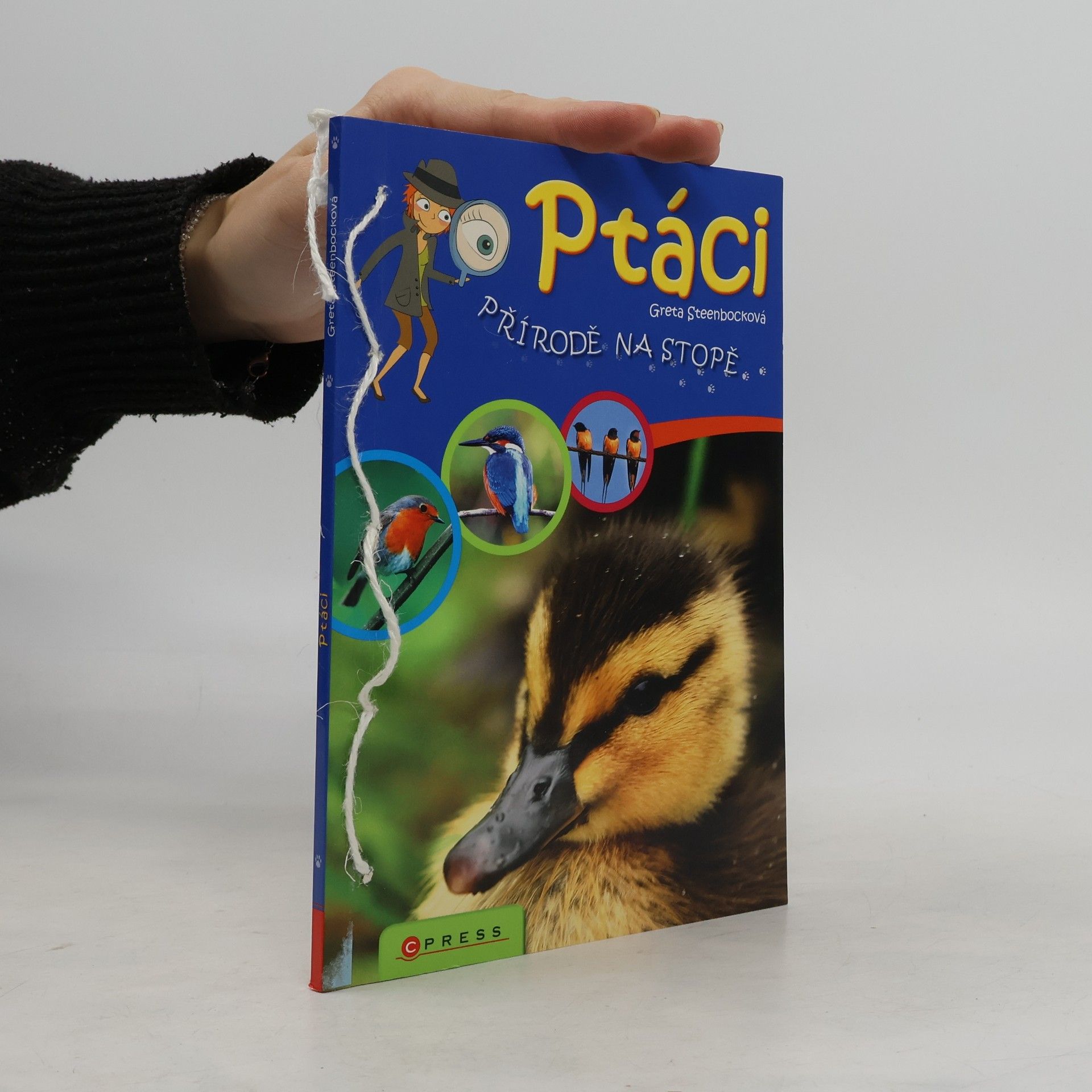 Greta Steenbock Ptáci