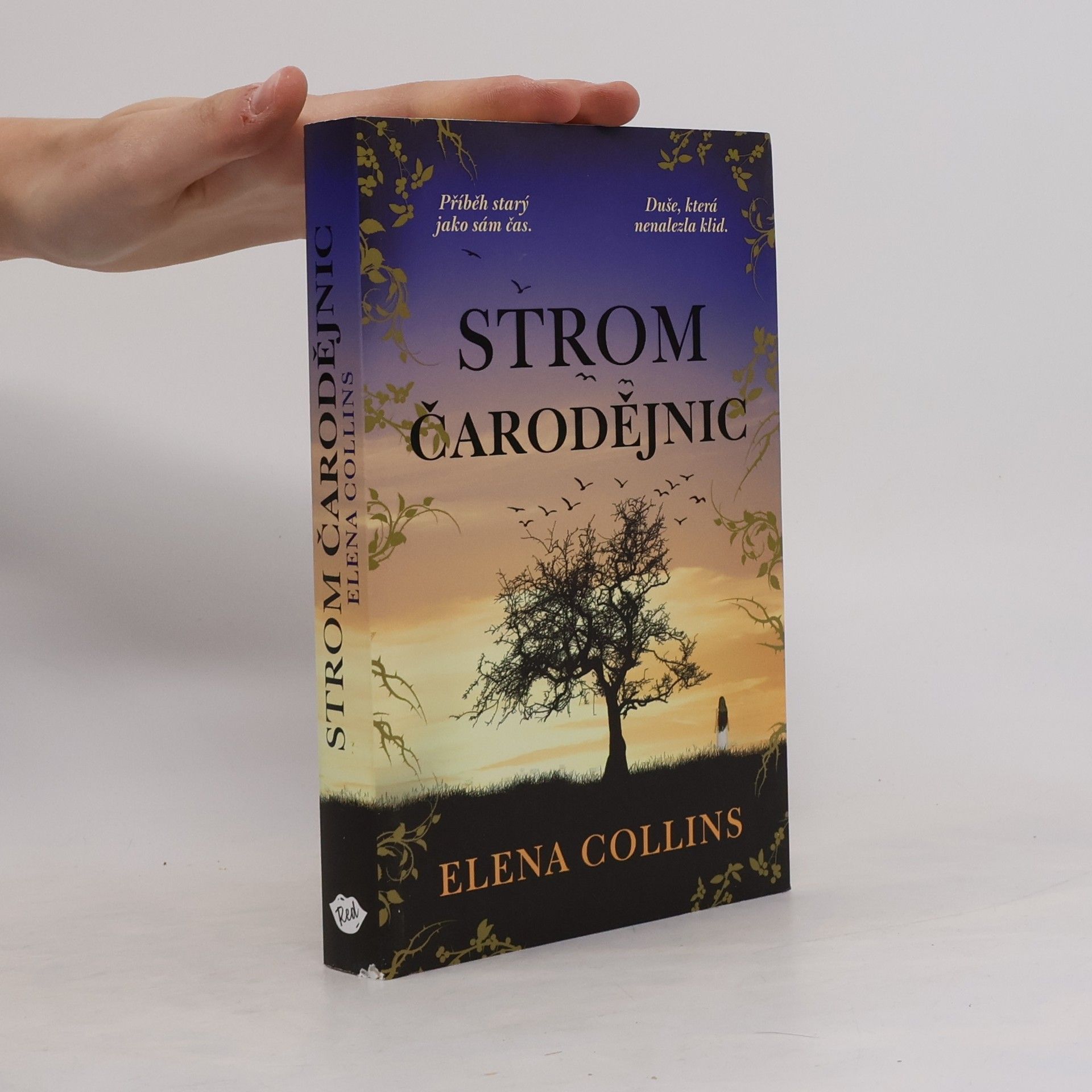 Judy Leigh Strom čarodějnic
