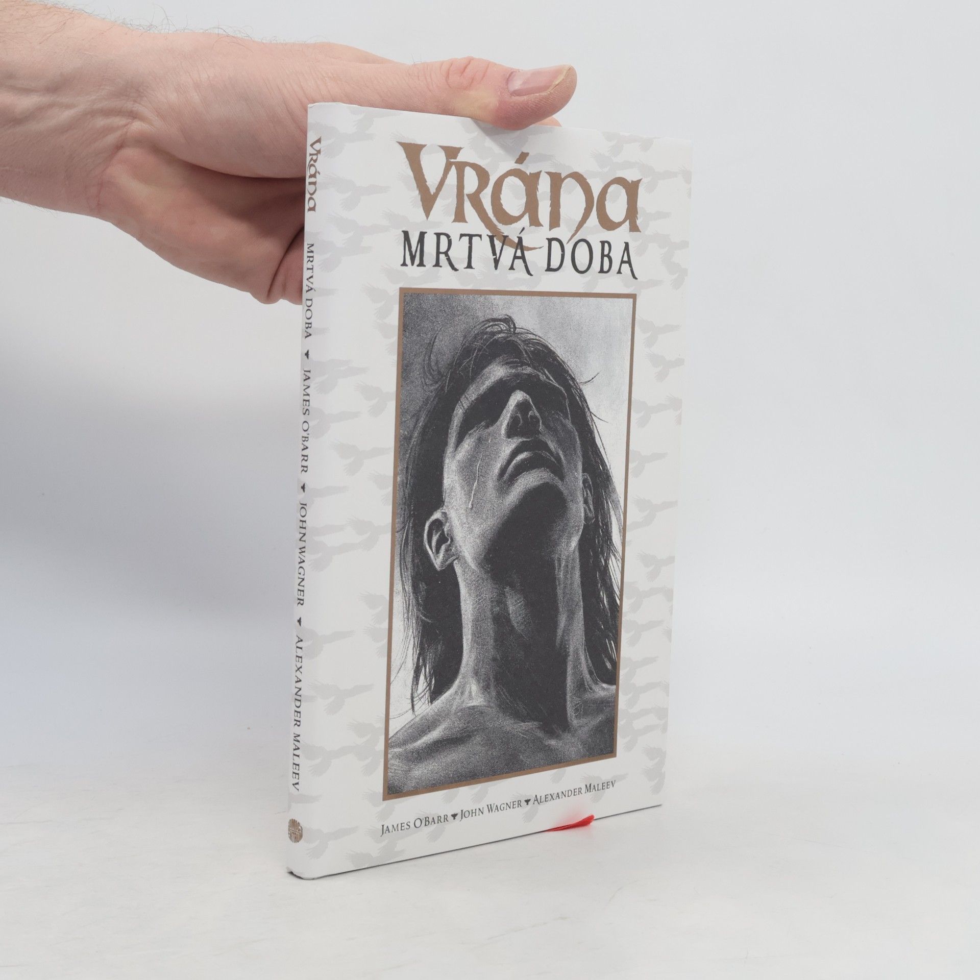 John Wagner Vrána - Mrtvá doba