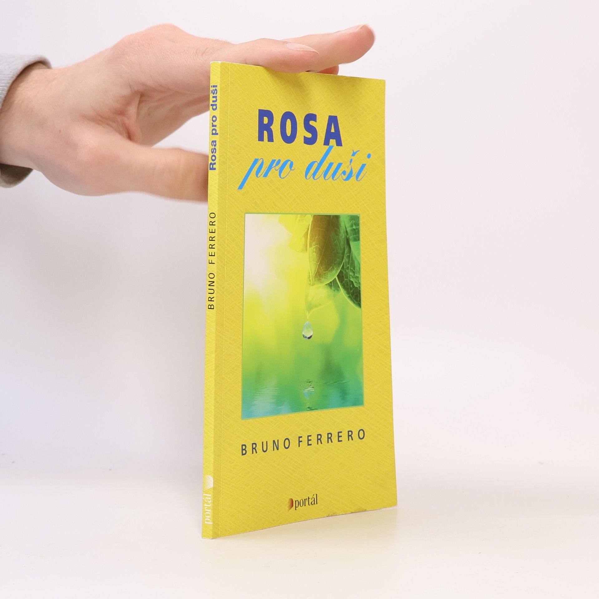 Bruno Ferrero Rosa pro duši