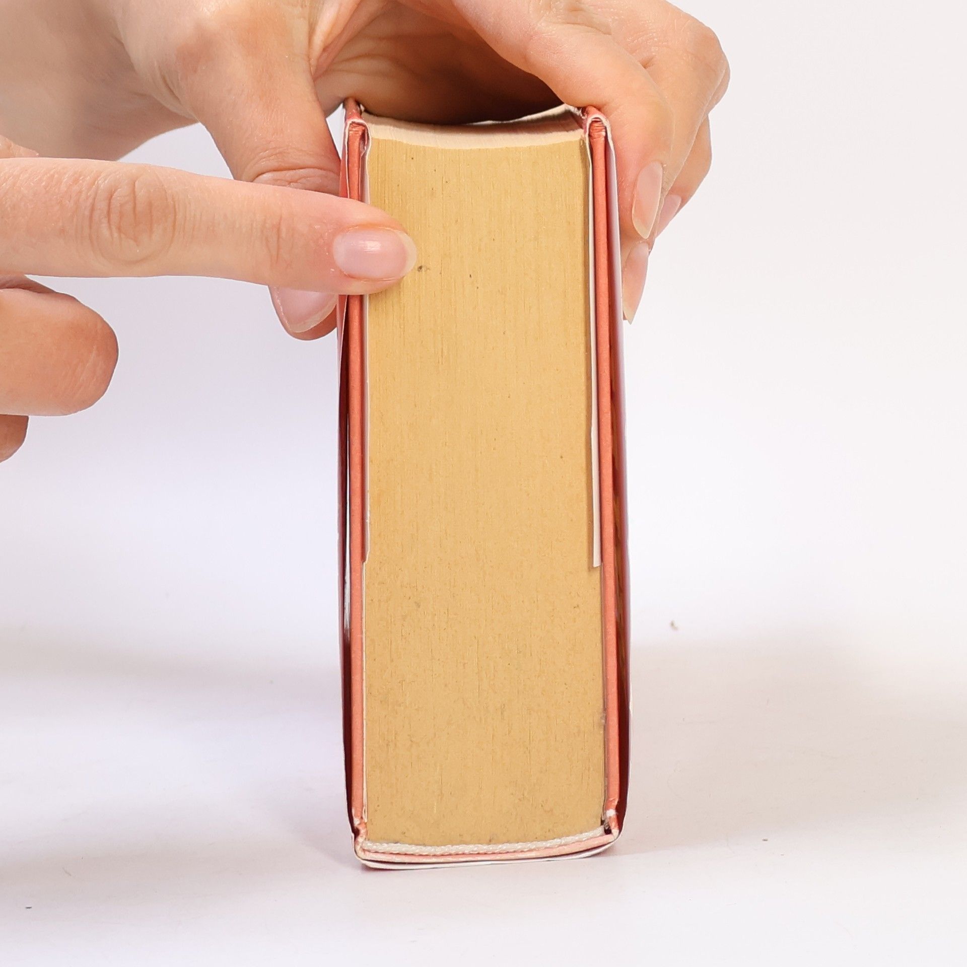 Wilbur Smith Zlatá liška