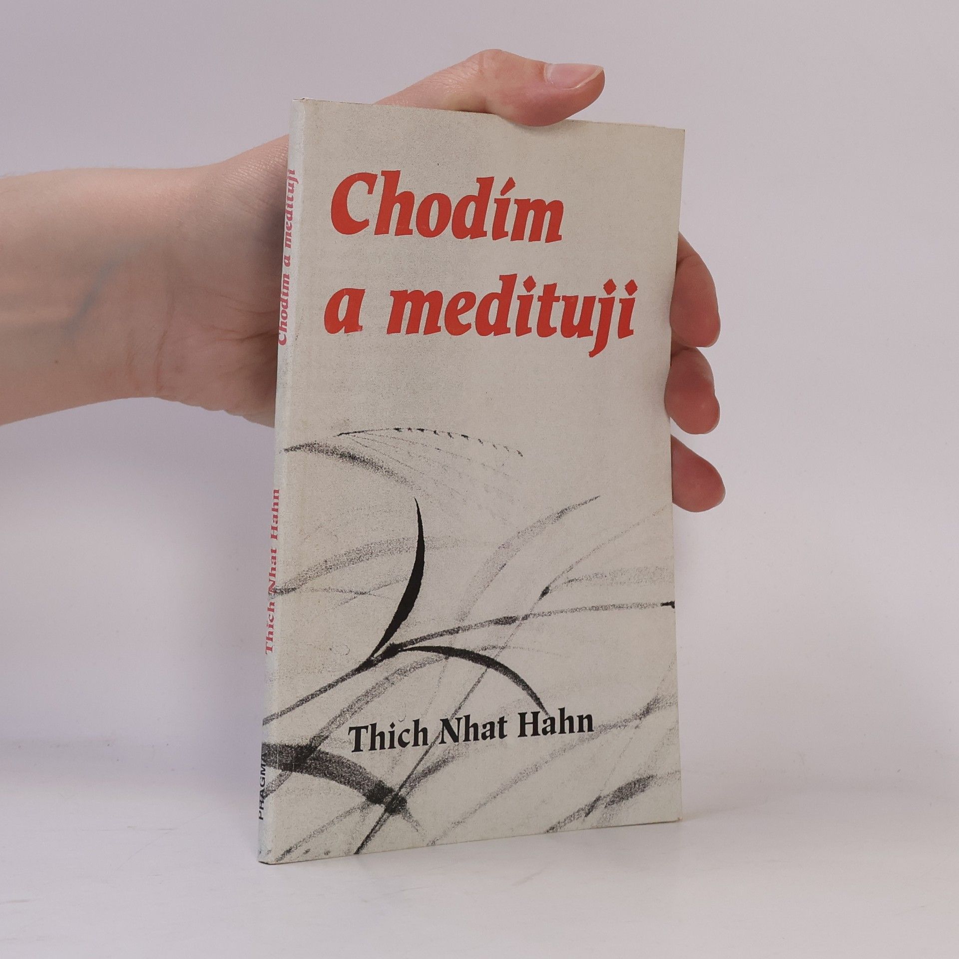 Hạnh Nhat Chodím a medituji