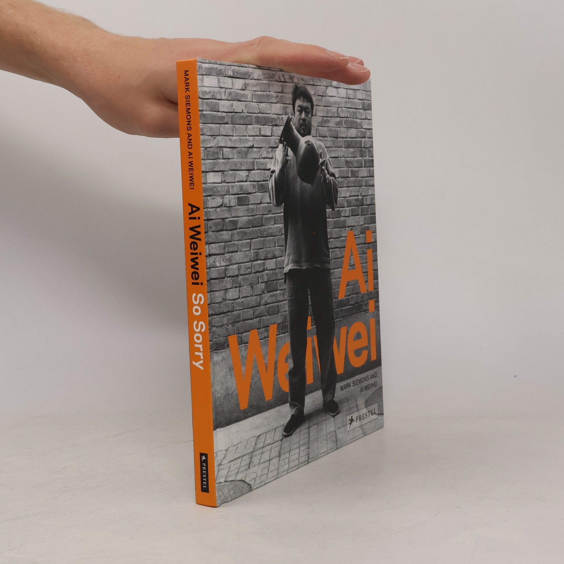 Weiwei Ai Ai Weiwei - So Sorry