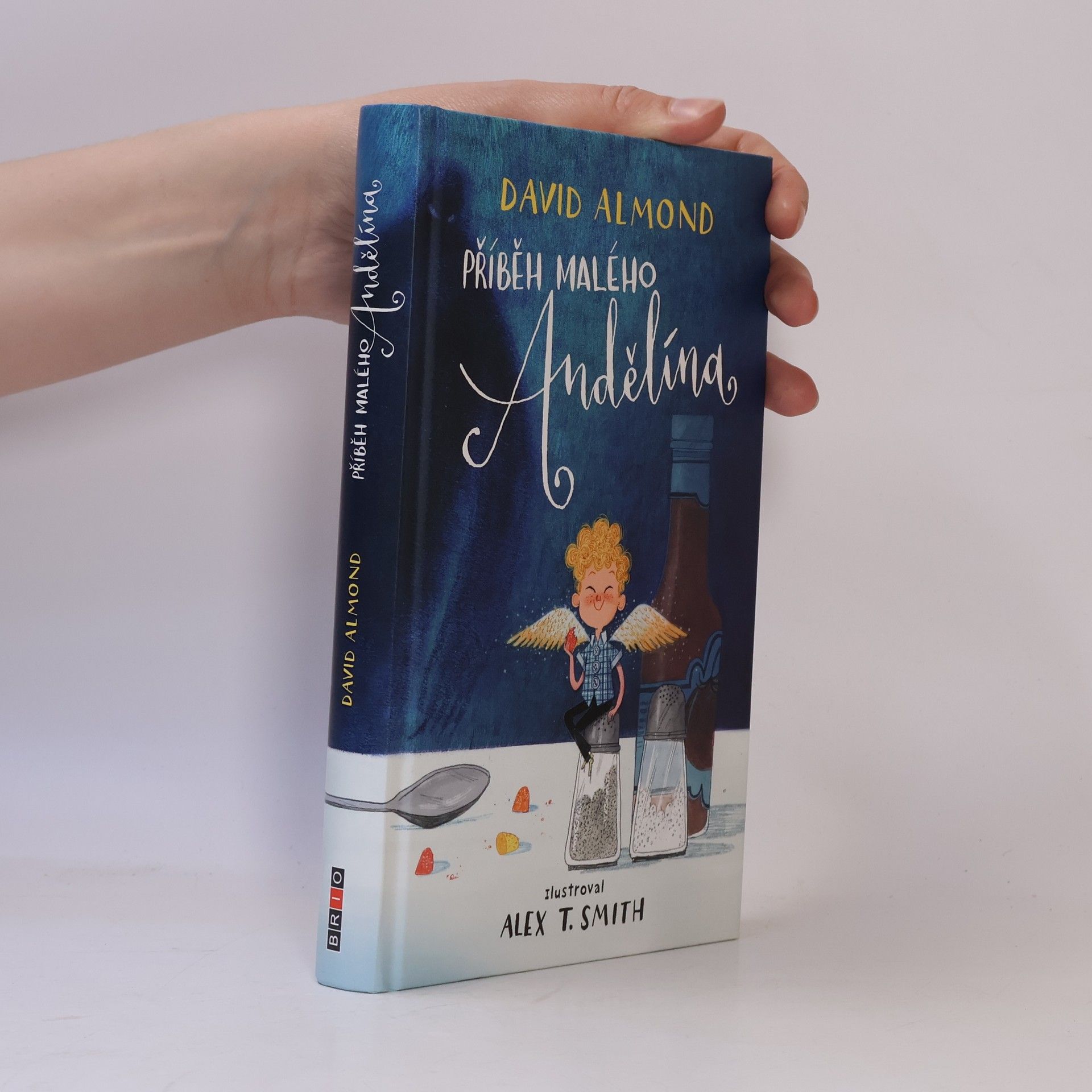 David Almond Příběh malého Andělína
