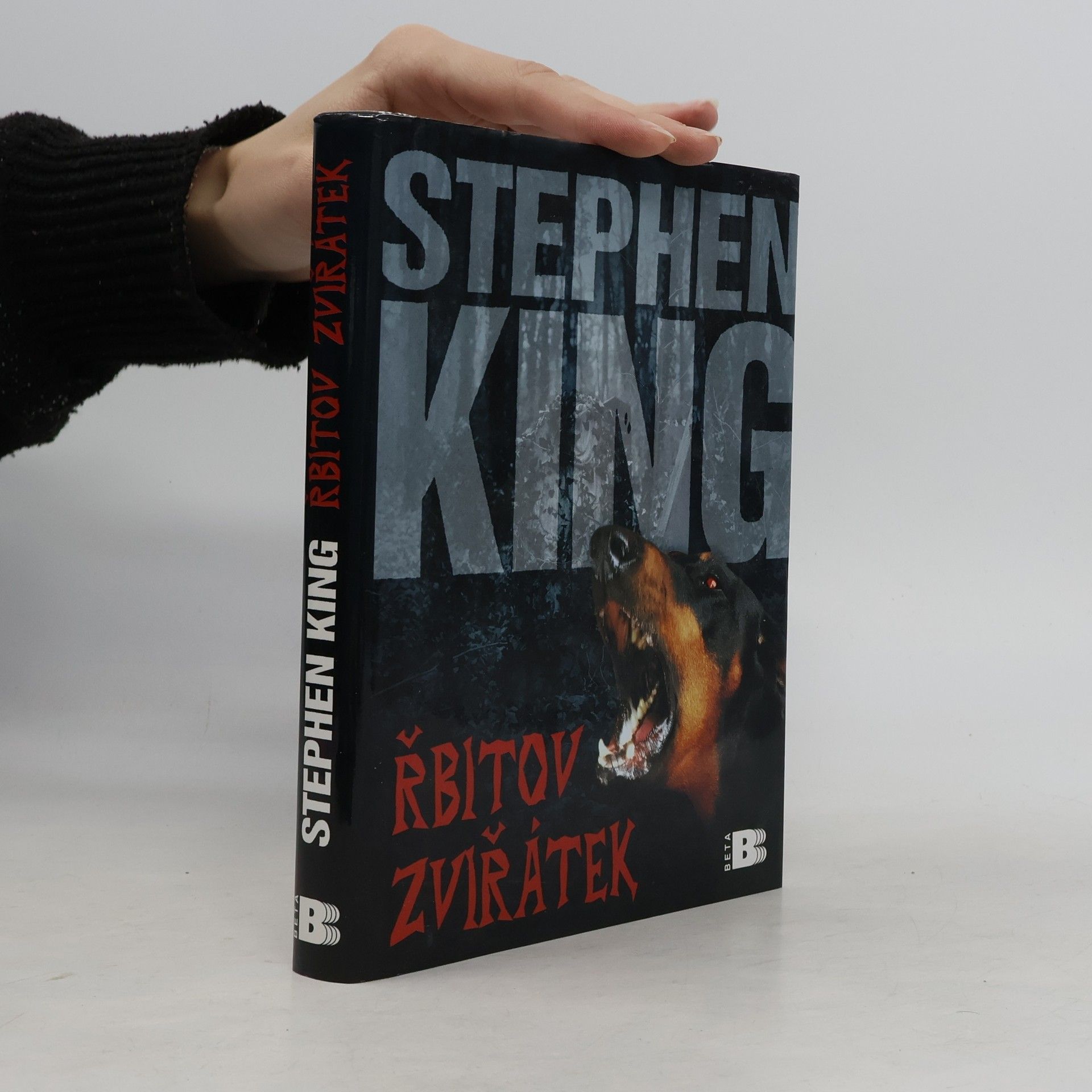 Stephen King Řbitov zviřátek