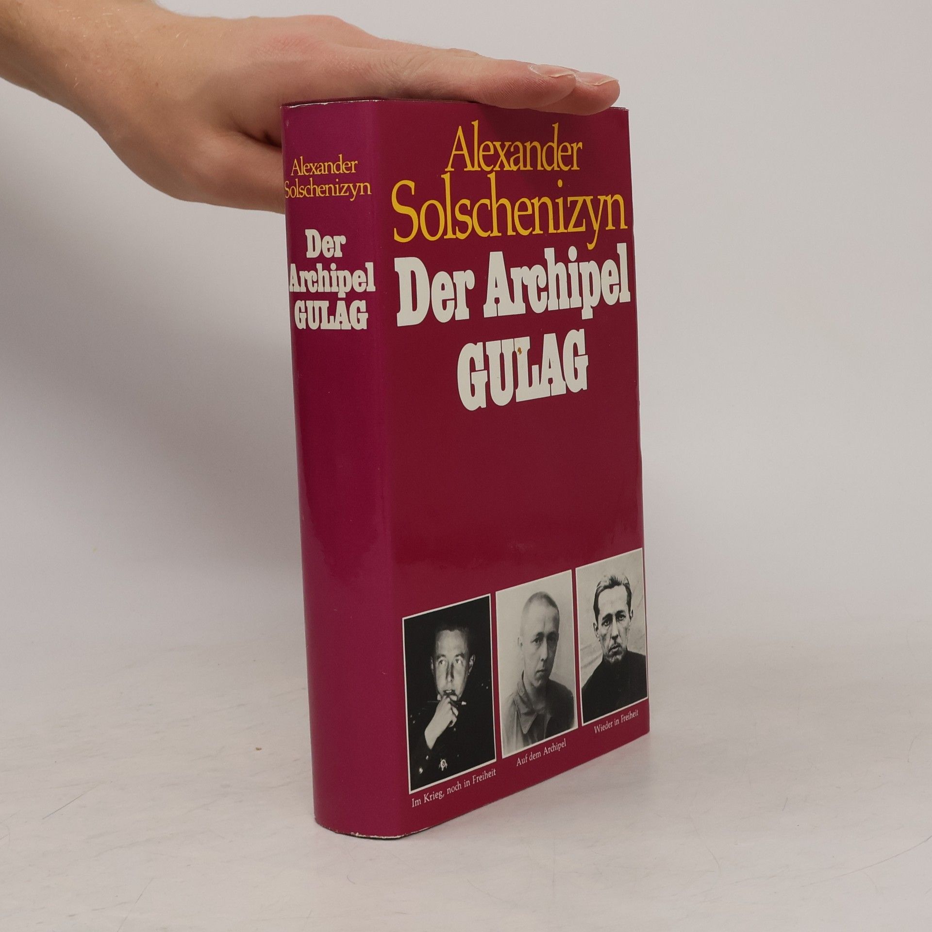 Alexander Issajewitsch Solschenizyn Der Archipel Gulag