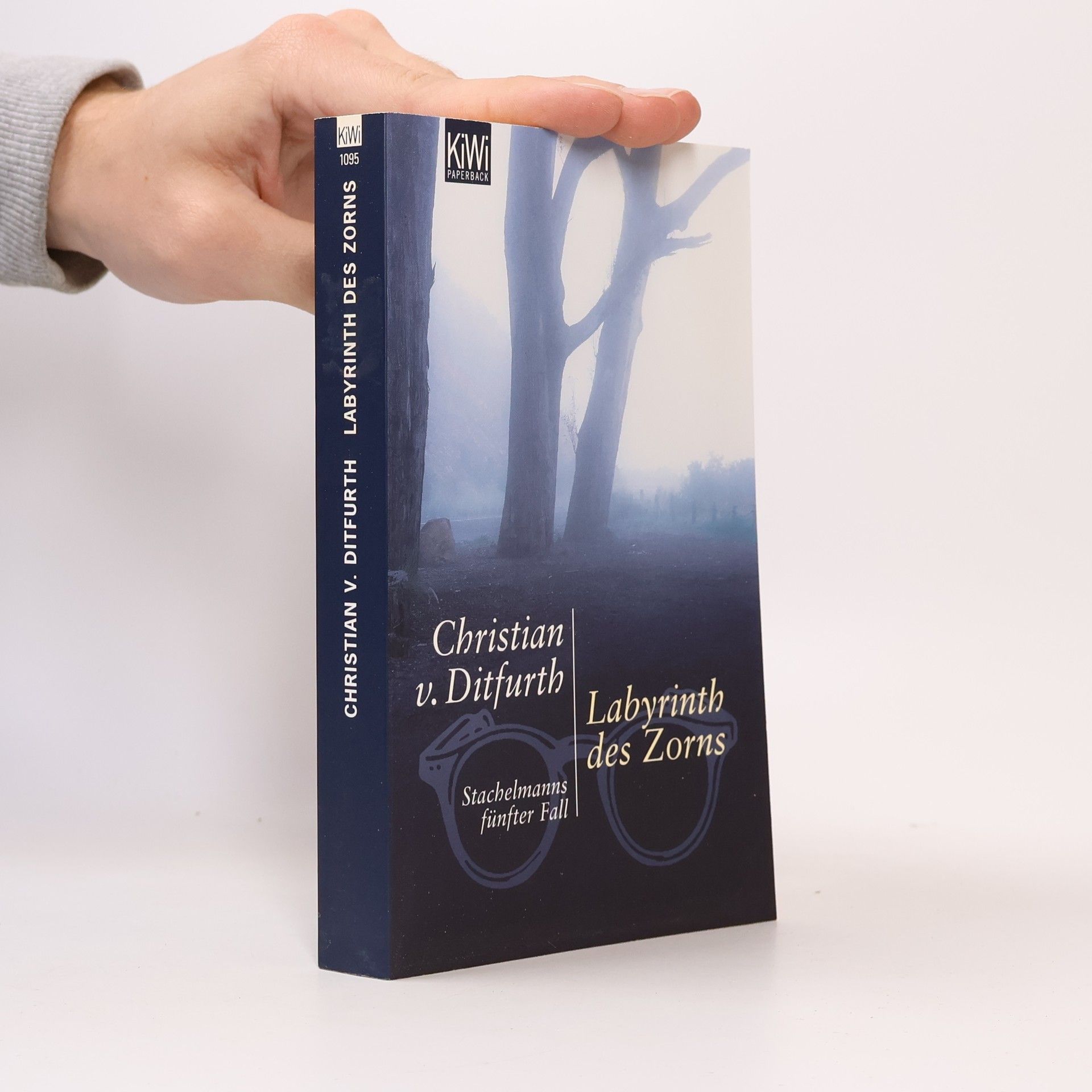 Christian v. Ditfurth Labyrinth des Zorns