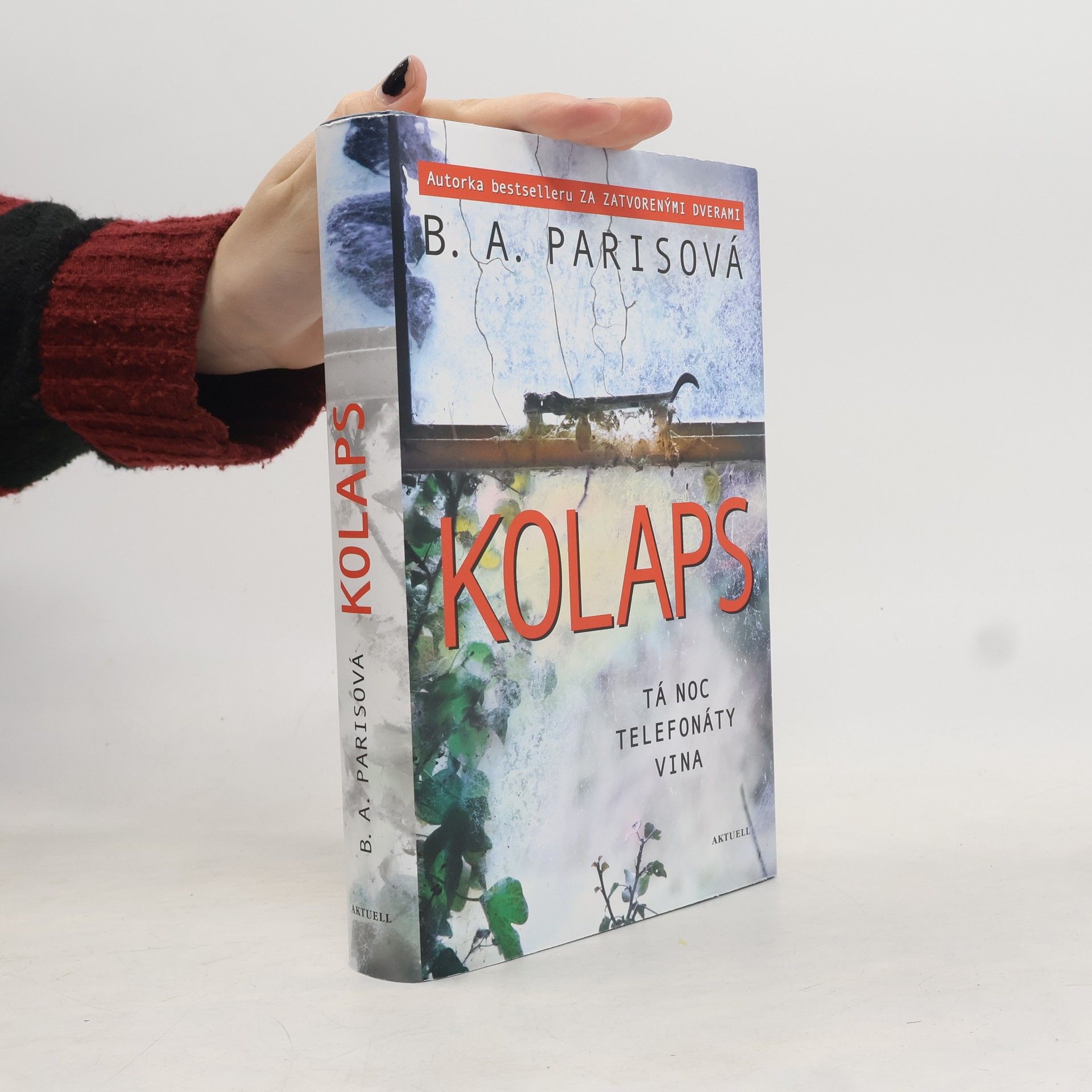B.A. Paris Kolaps