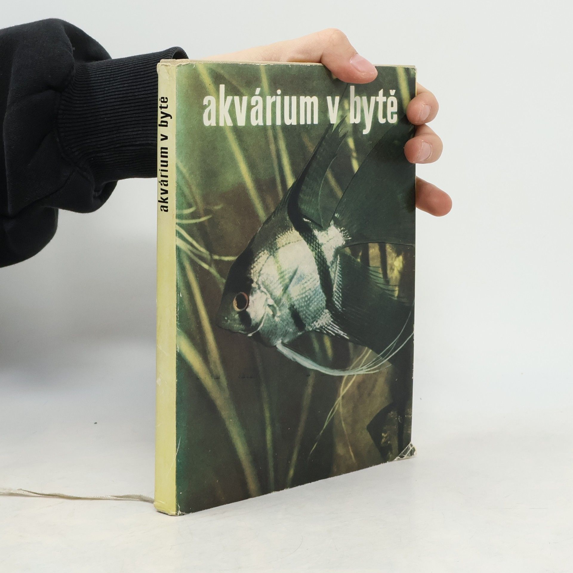 Rudolf Zukal Akvárium v bytě