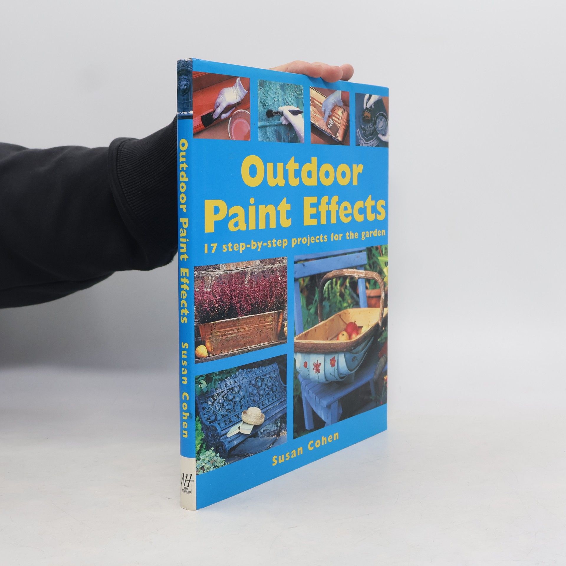 Outdoor Paint Effects