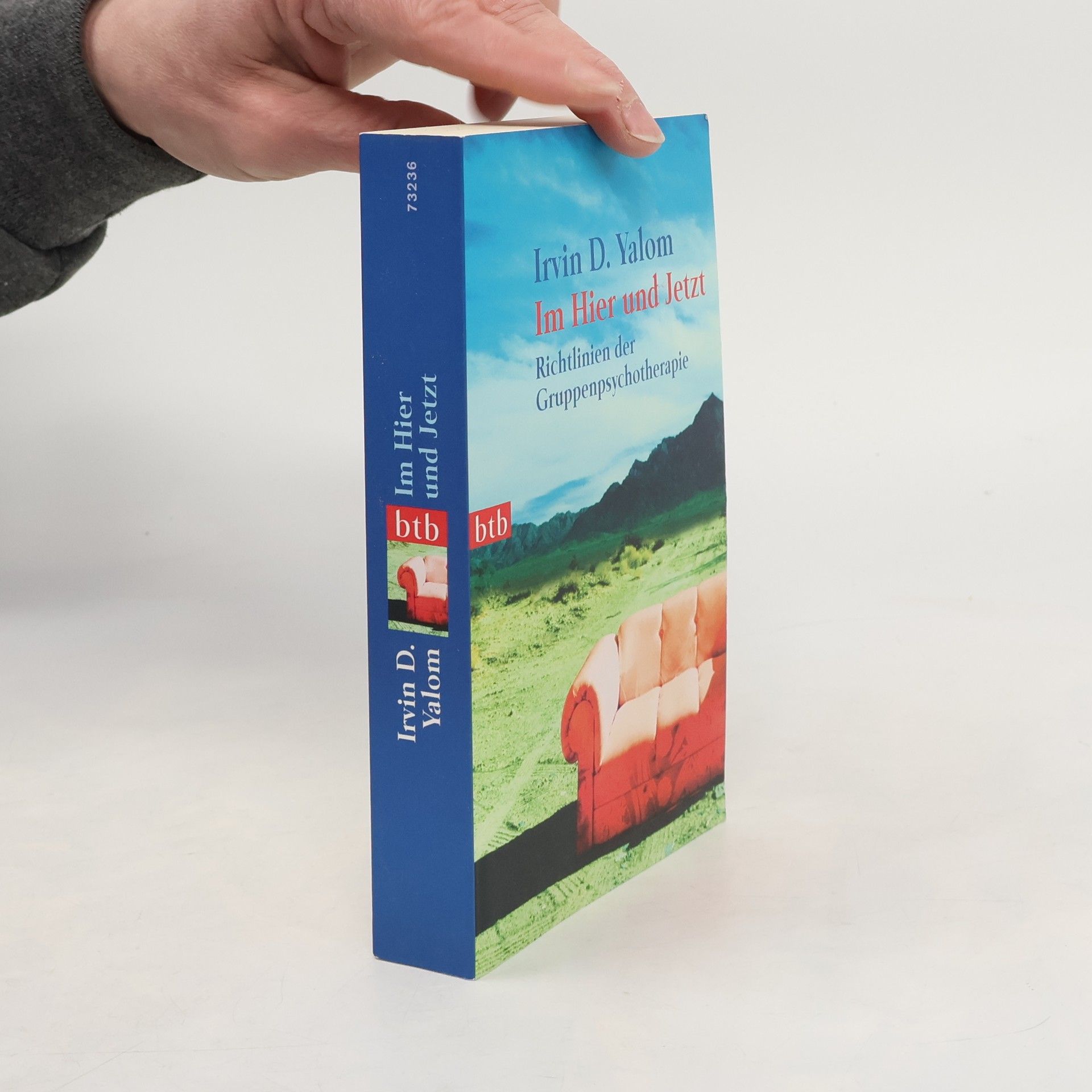 Irvin Yalom Im Hier und Jetzt