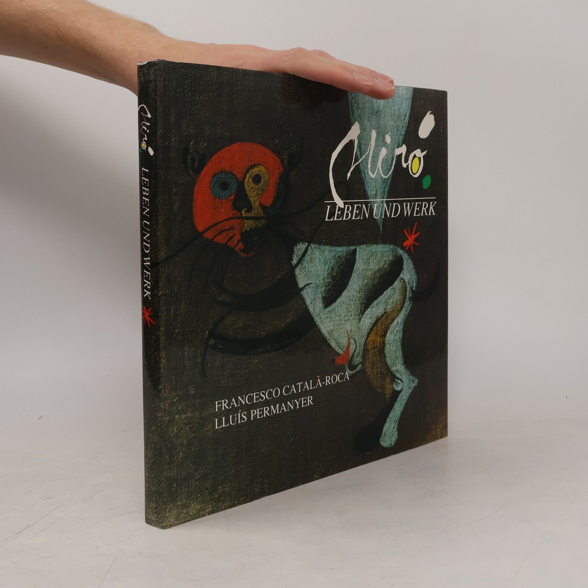 Lluis Permanyer Miro Leben und Werk