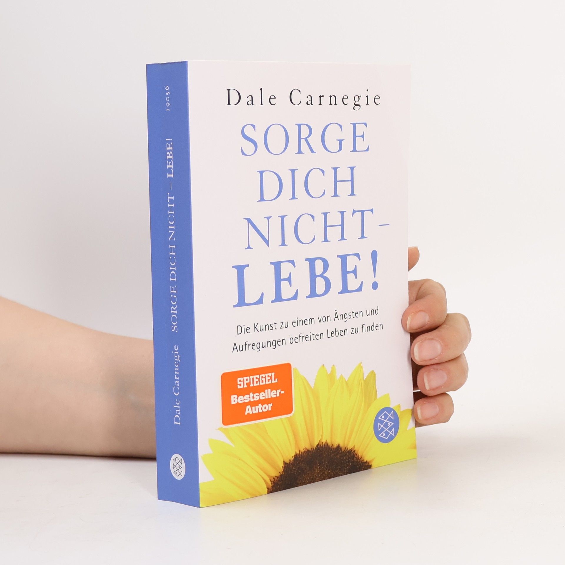 Dale Carnegie Sorge dich nicht - lebe!