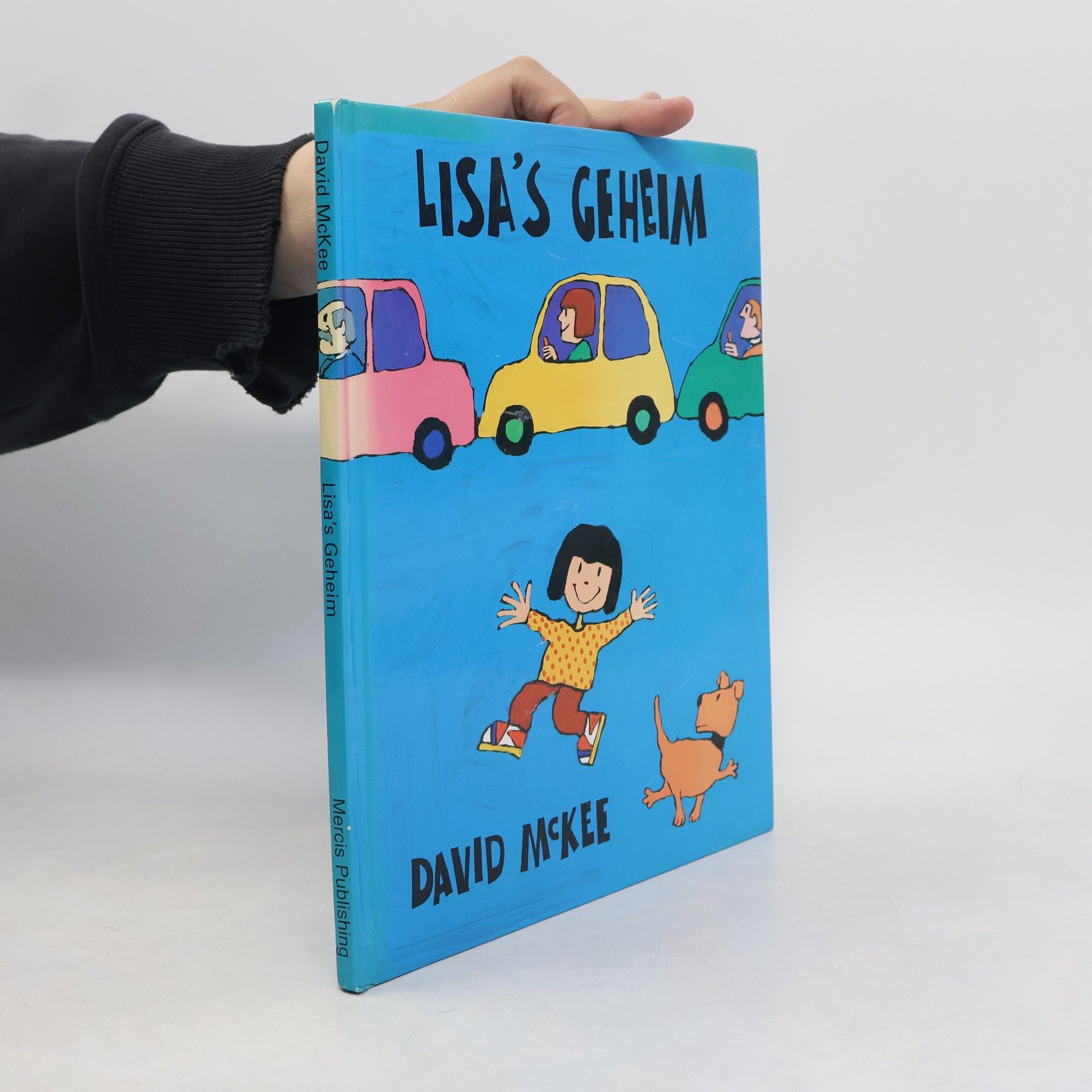 Lieke Van Duin Lisa's Geheim