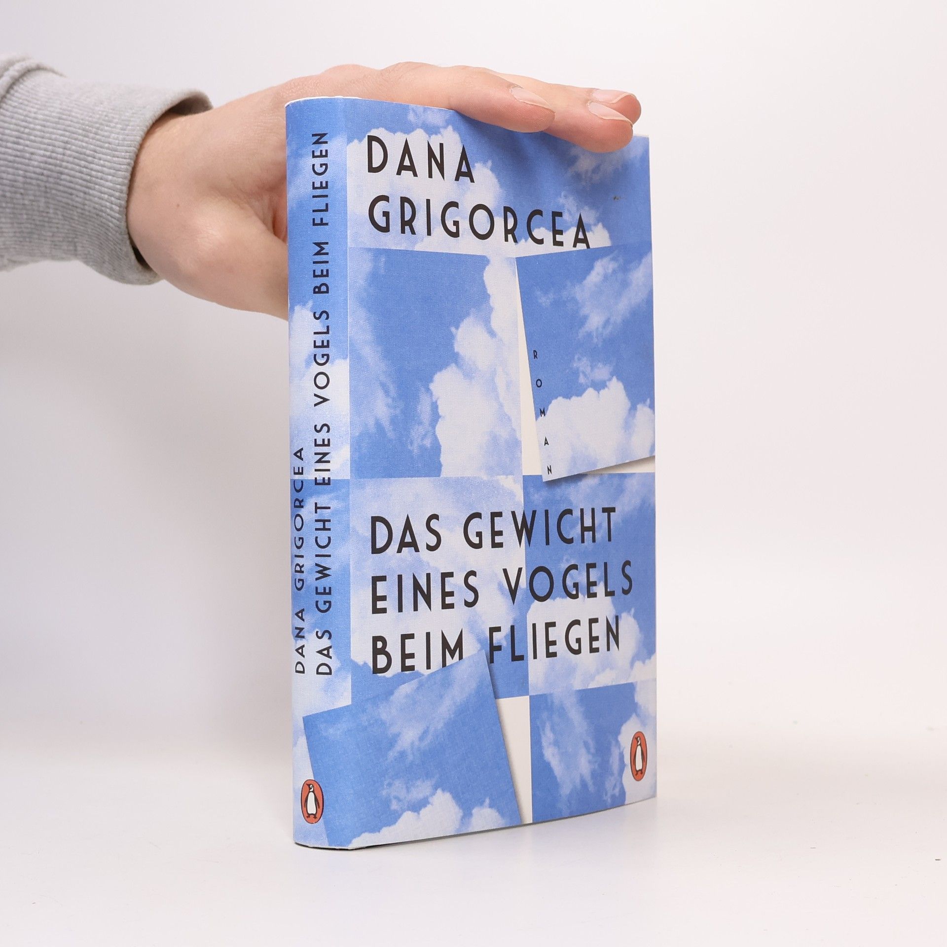 Dana Grigorcea Das Gewicht eines Vogels beim Fliegen