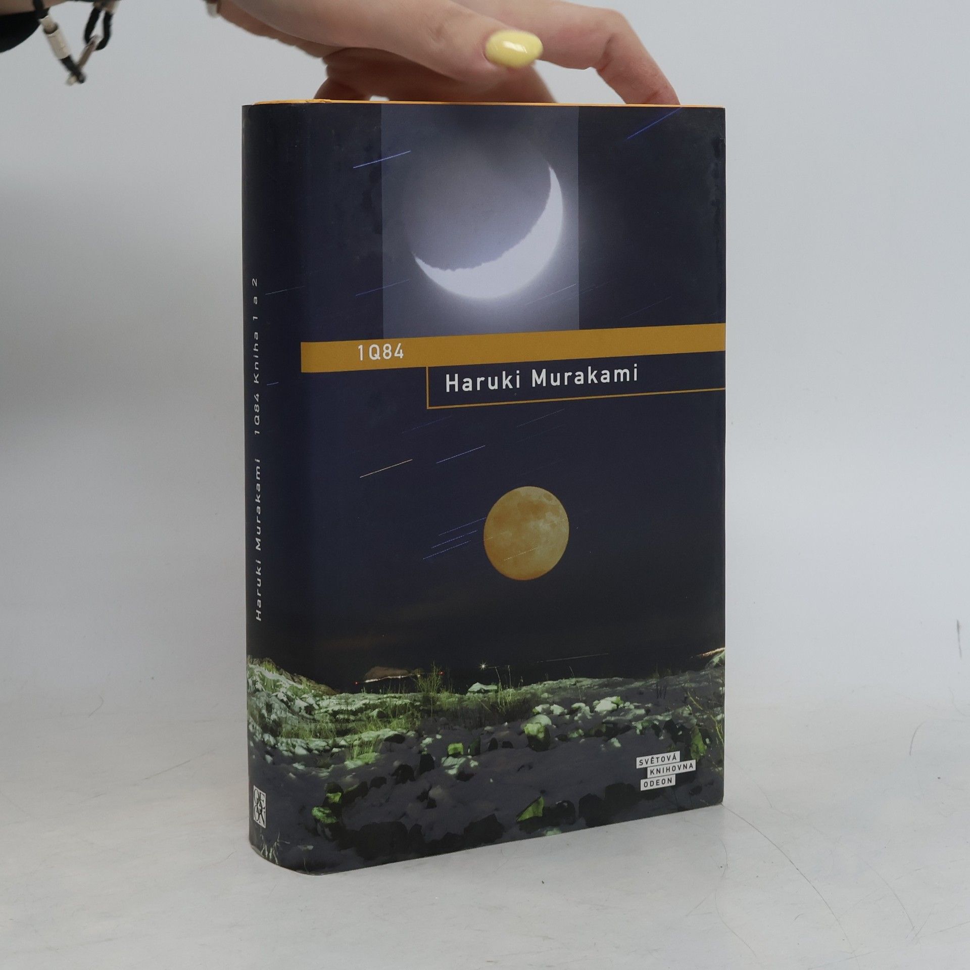 Haruki Murakami 1Q84. Kniha 1 a 2