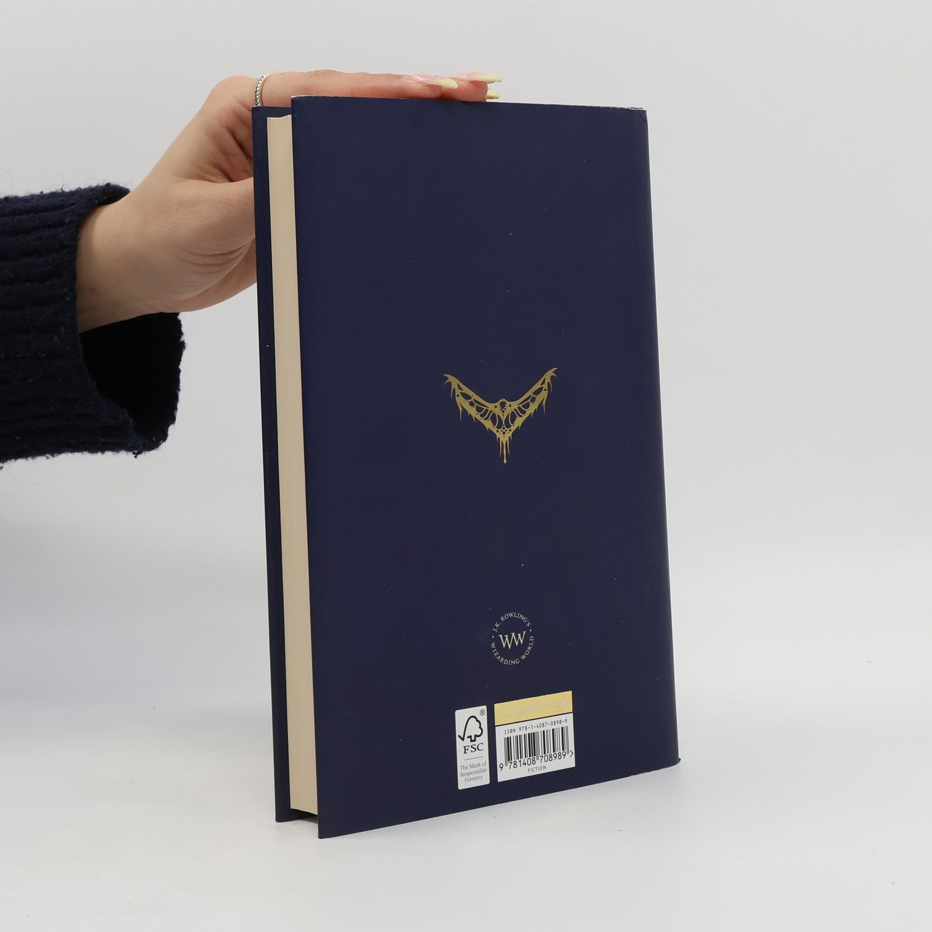 Joanne K. Rowling Fantastic Beasts And Where to Find Them