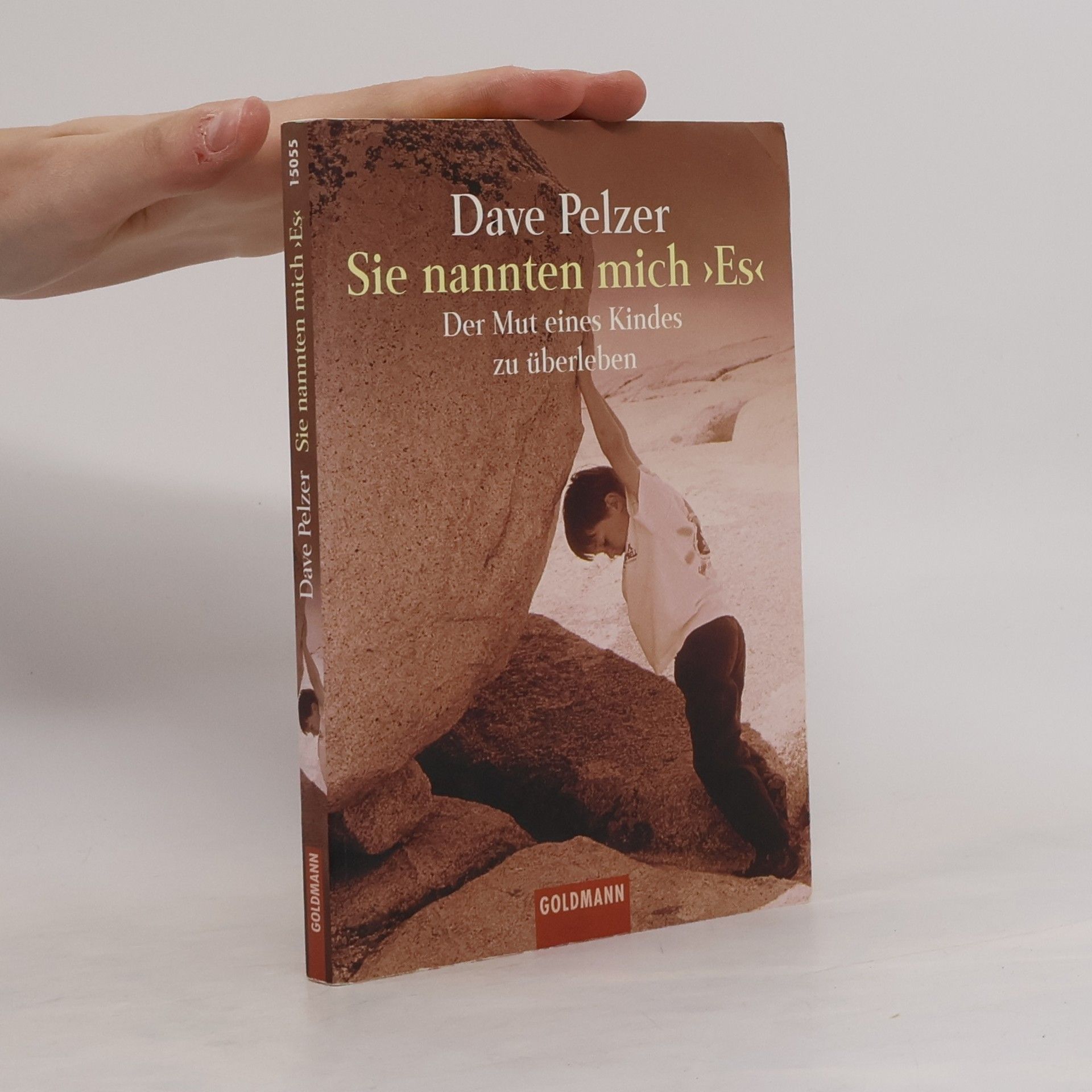 Dave Pelzer Sie nannten mich "Es"