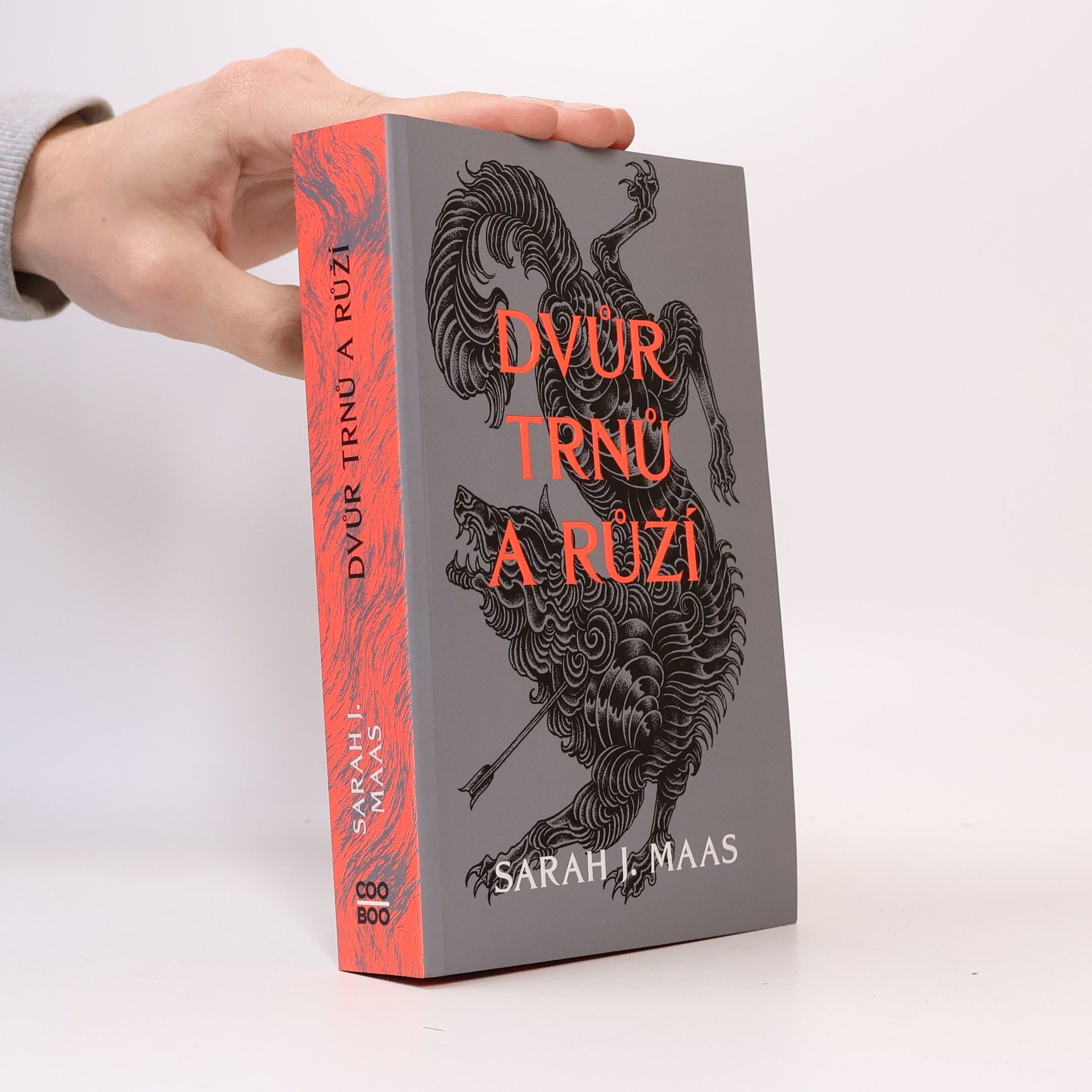 Sarah J. Maas Dvůr trnů a růží