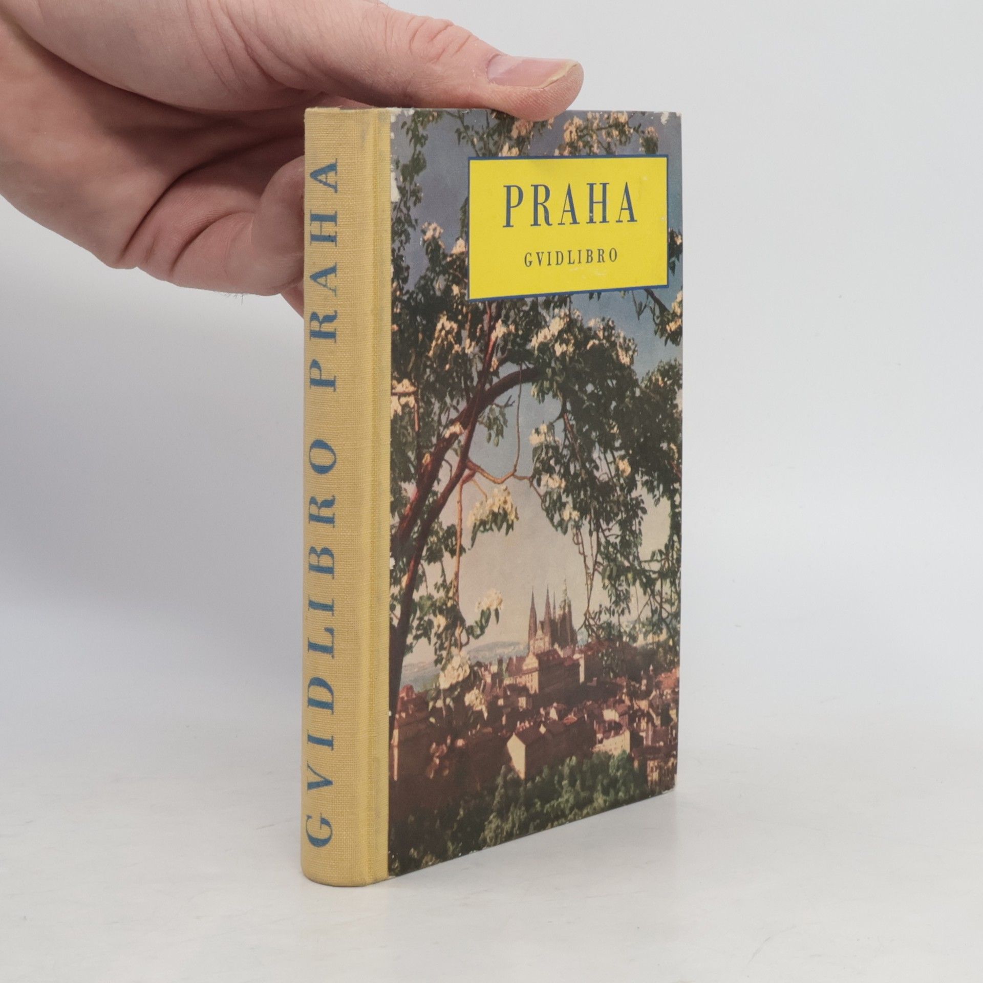 Jana Hofmeisterová Praha. Gvidlibro