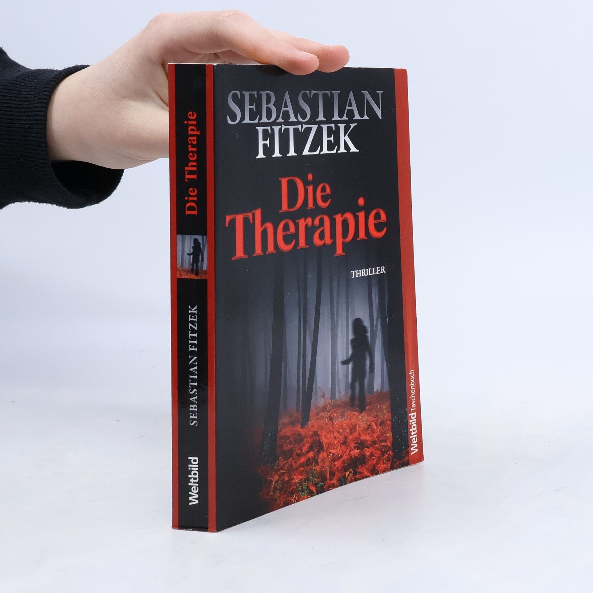 Sebastian Fitzek Die Therapie