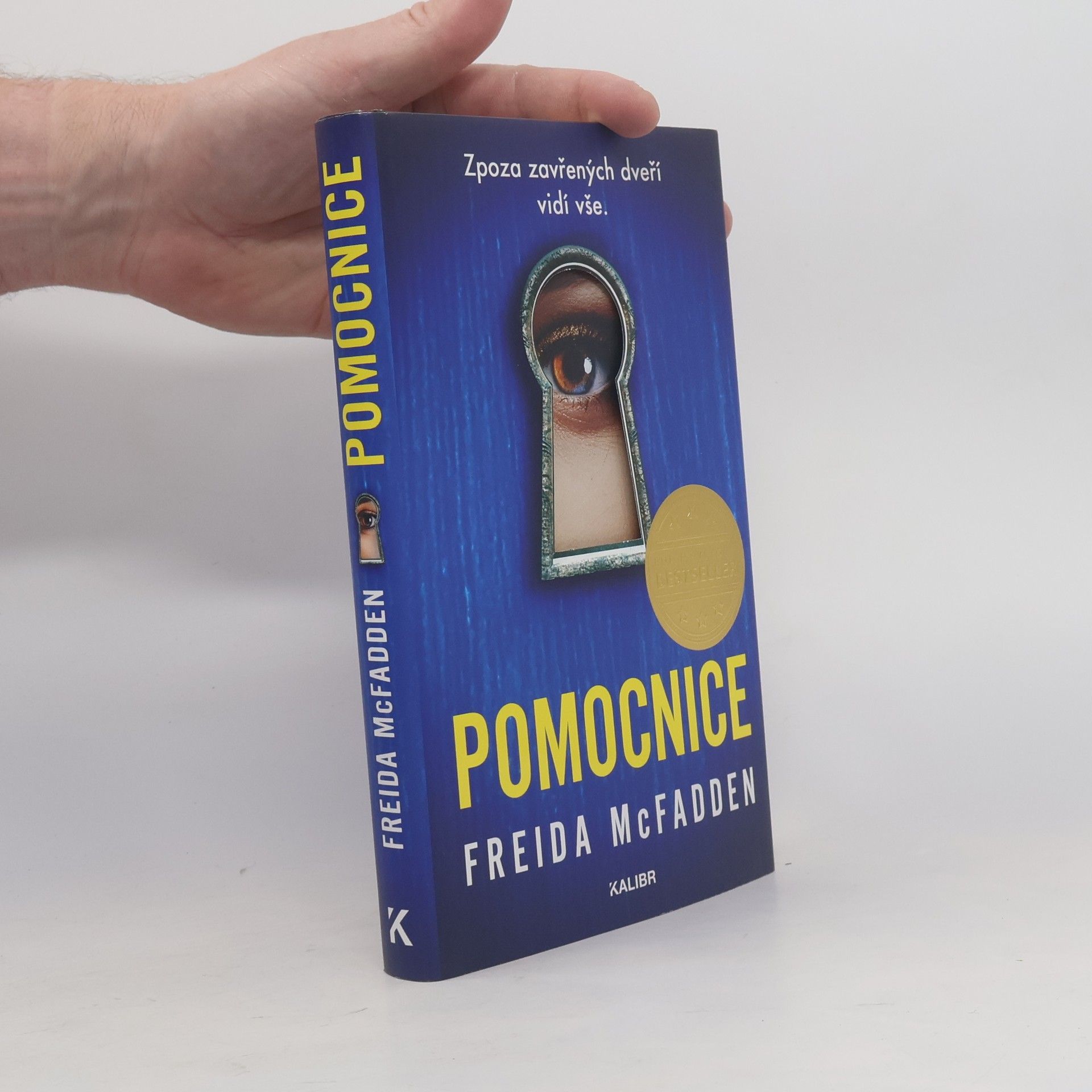 Freida McFadden Pomocnice