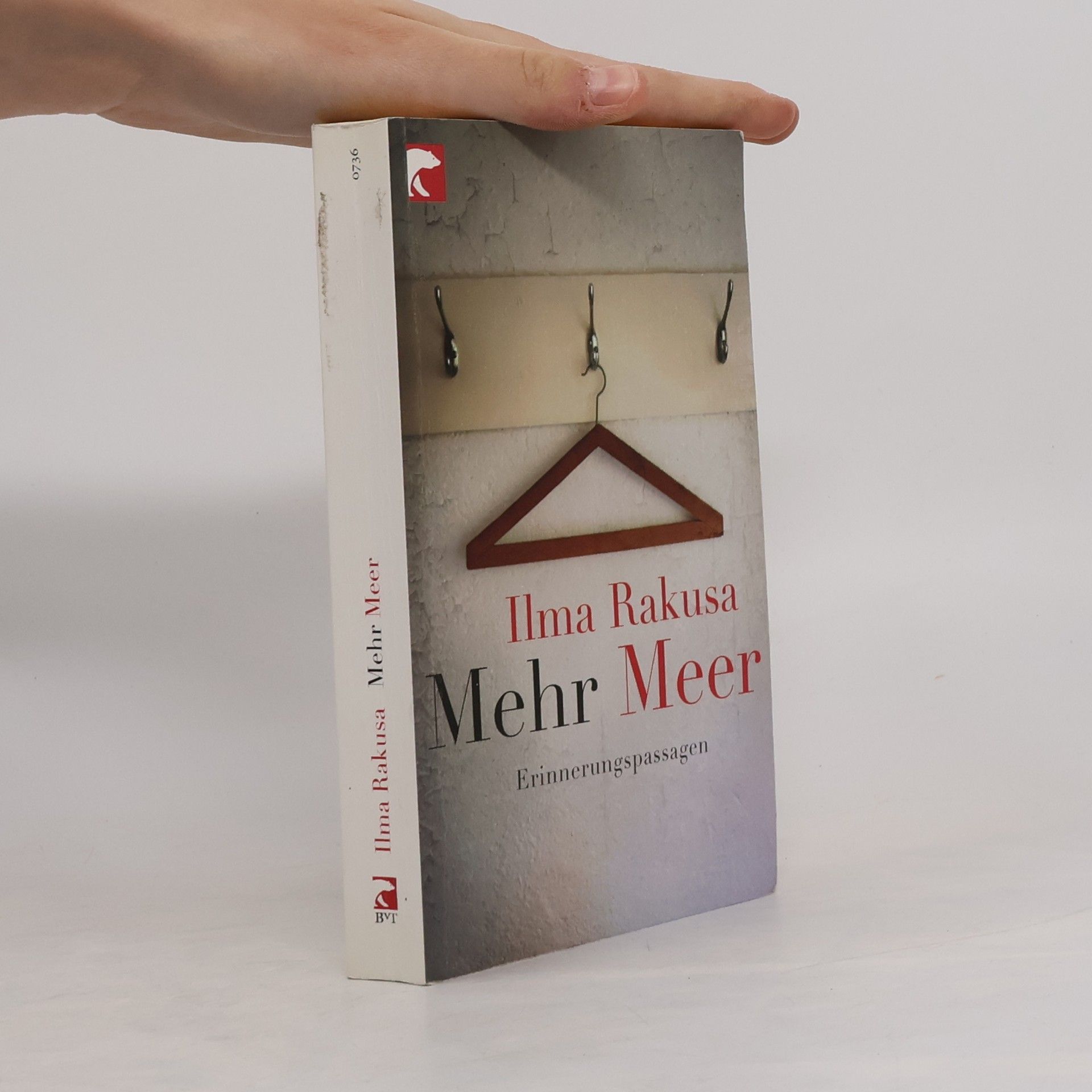 Ilma Rakusa Mehr Meer