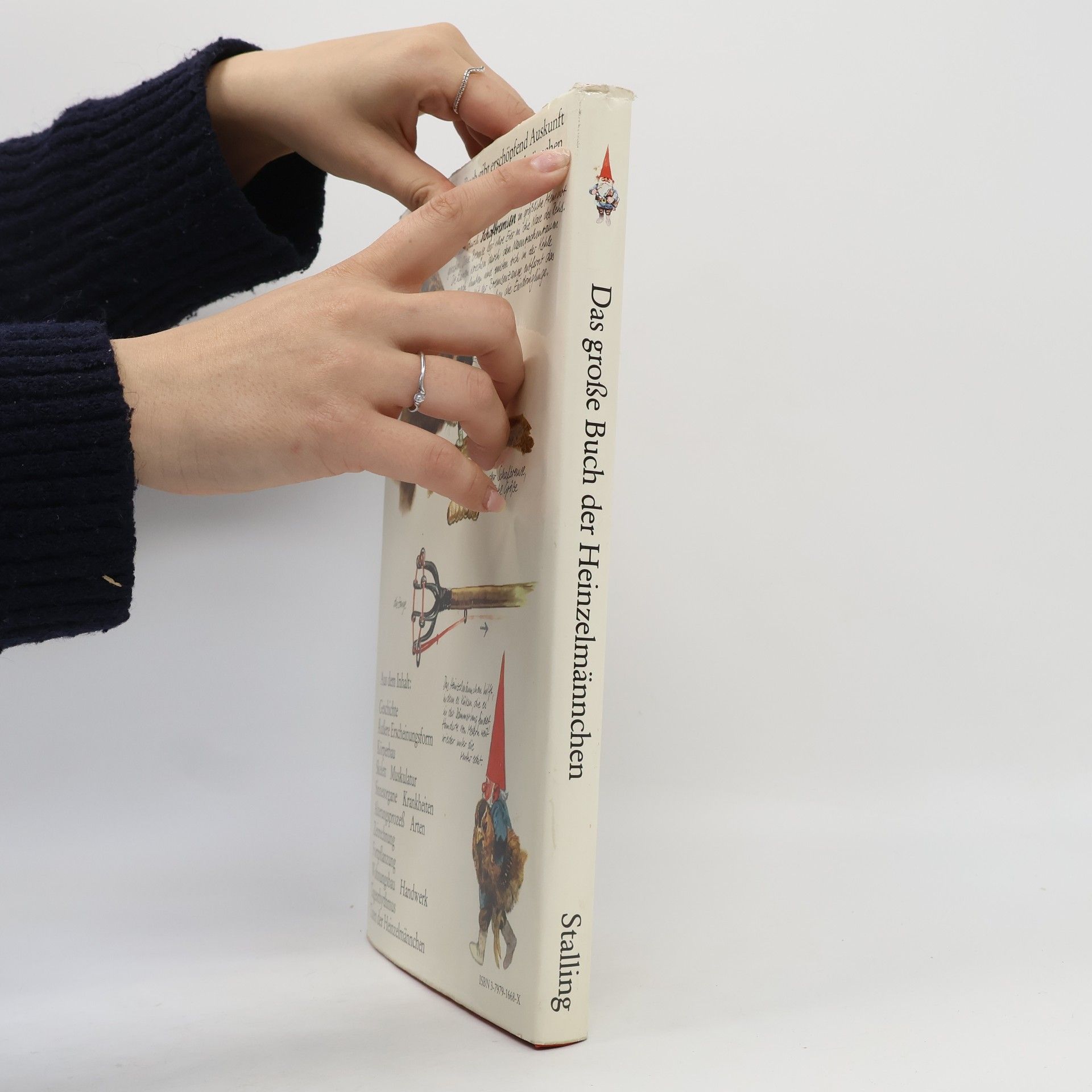 Wil Huygen Das grosse Buch der Heinzelmännchen