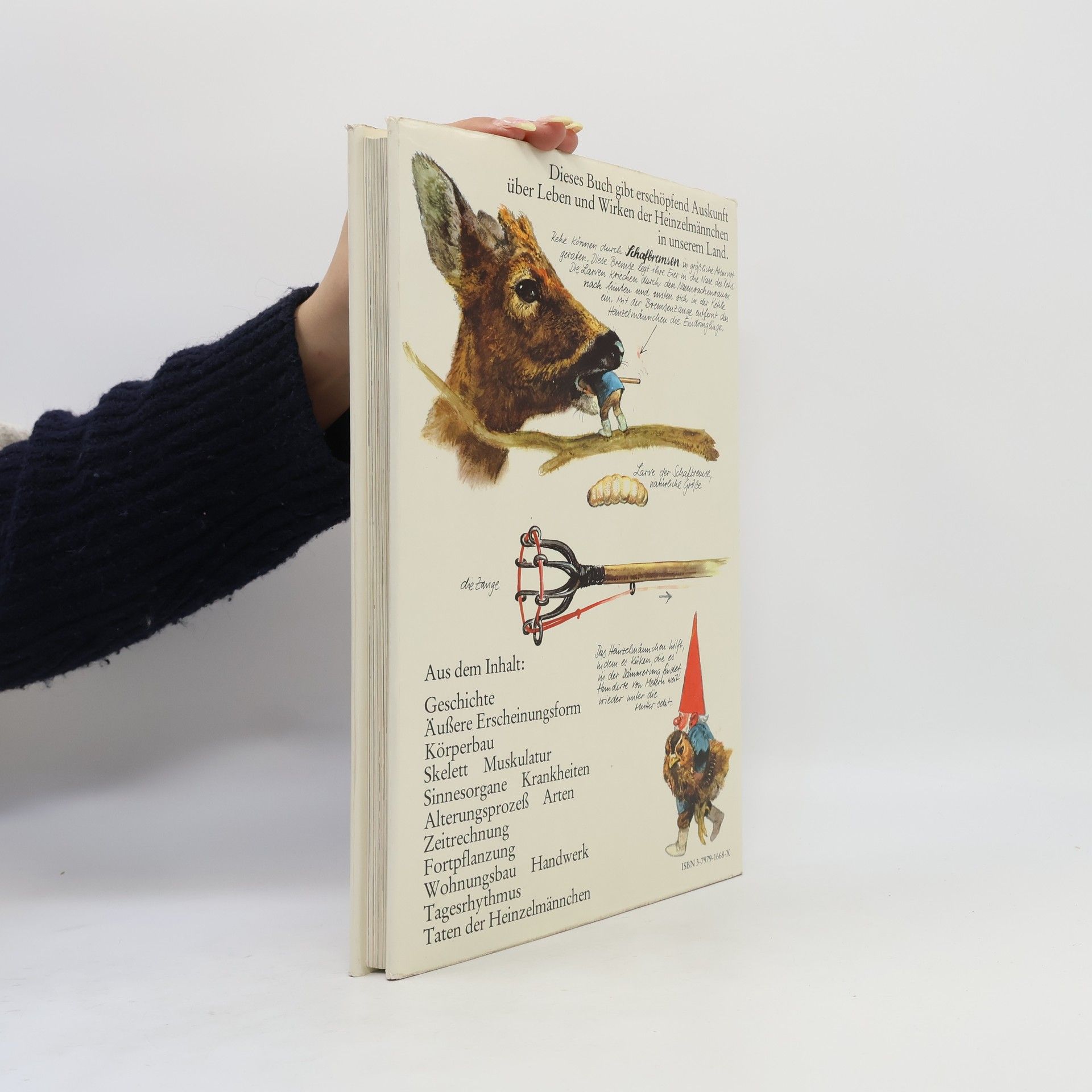 Wil Huygen Das grosse Buch der Heinzelmännchen