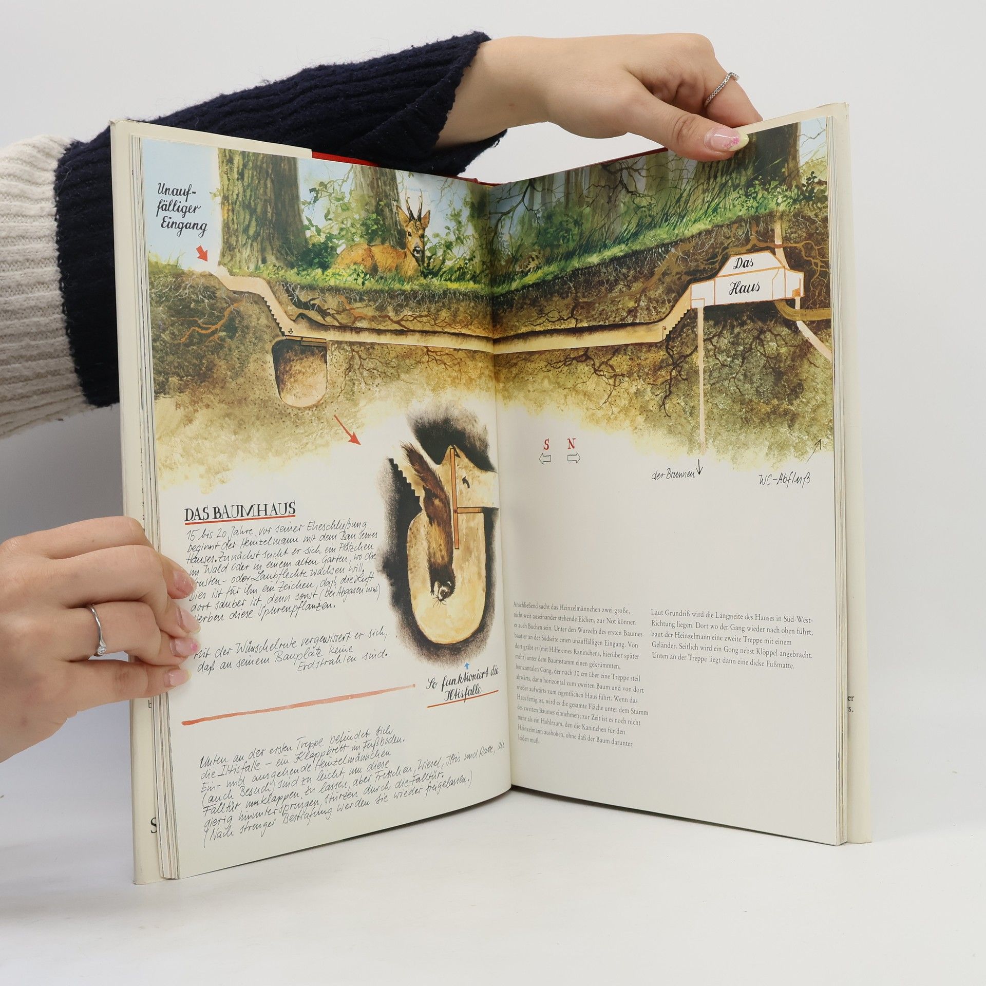 Wil Huygen Das grosse Buch der Heinzelmännchen