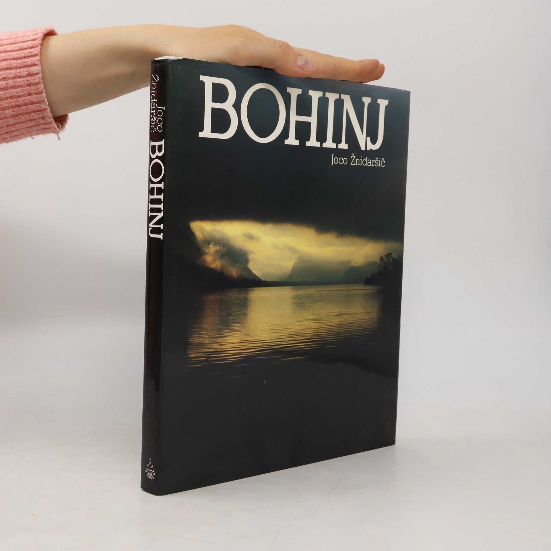 Joco Žnidaršič Bohinj