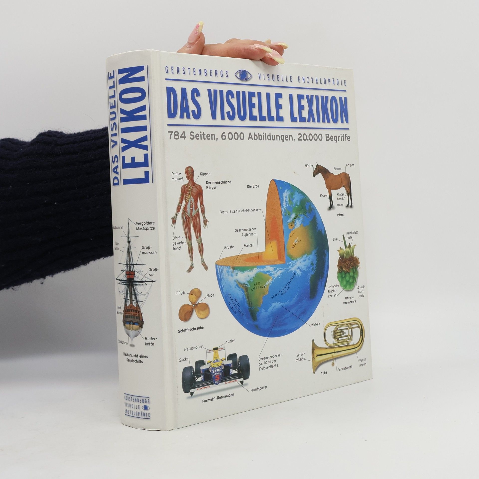 Luisa Caruso Das visuelle Lexikon