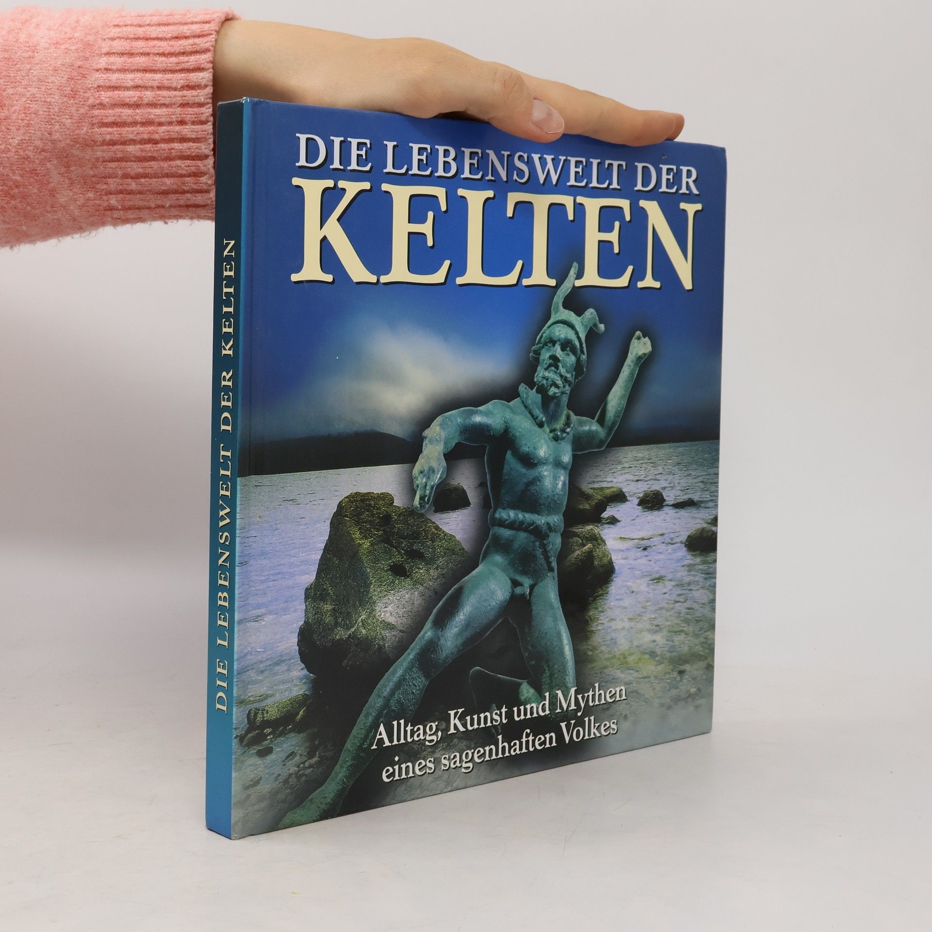 Juliette Wood Die Lebenswelt der Kelten