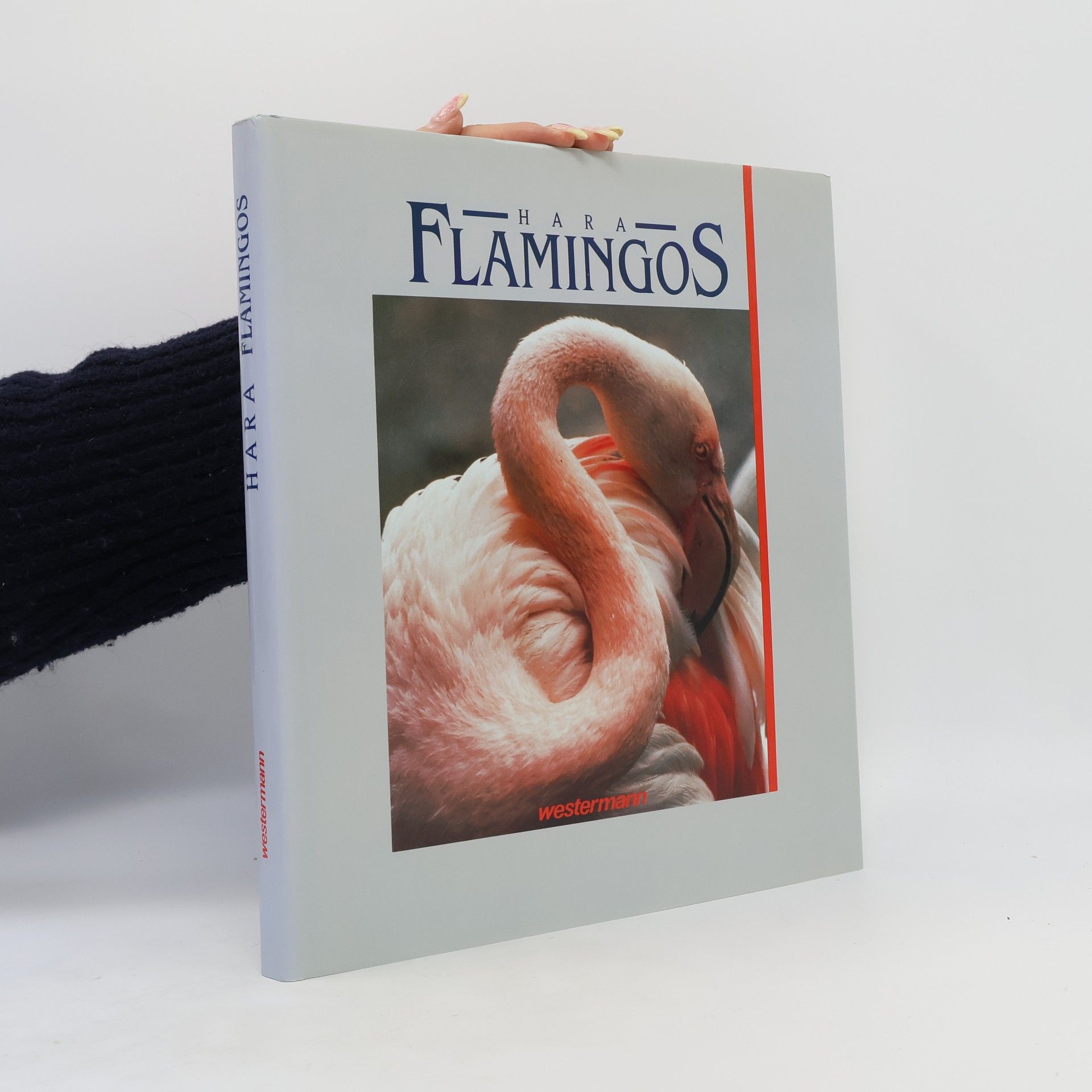 Hara Flamingos