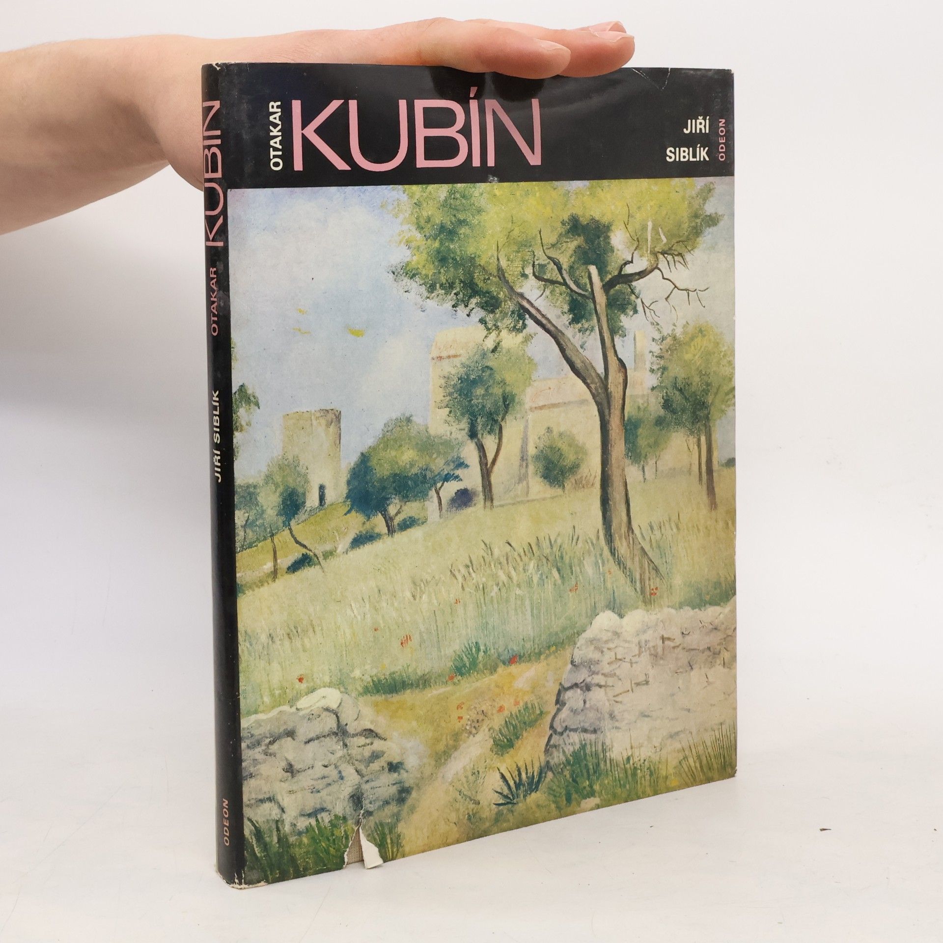 Jiří Siblík Otakar Kubín
