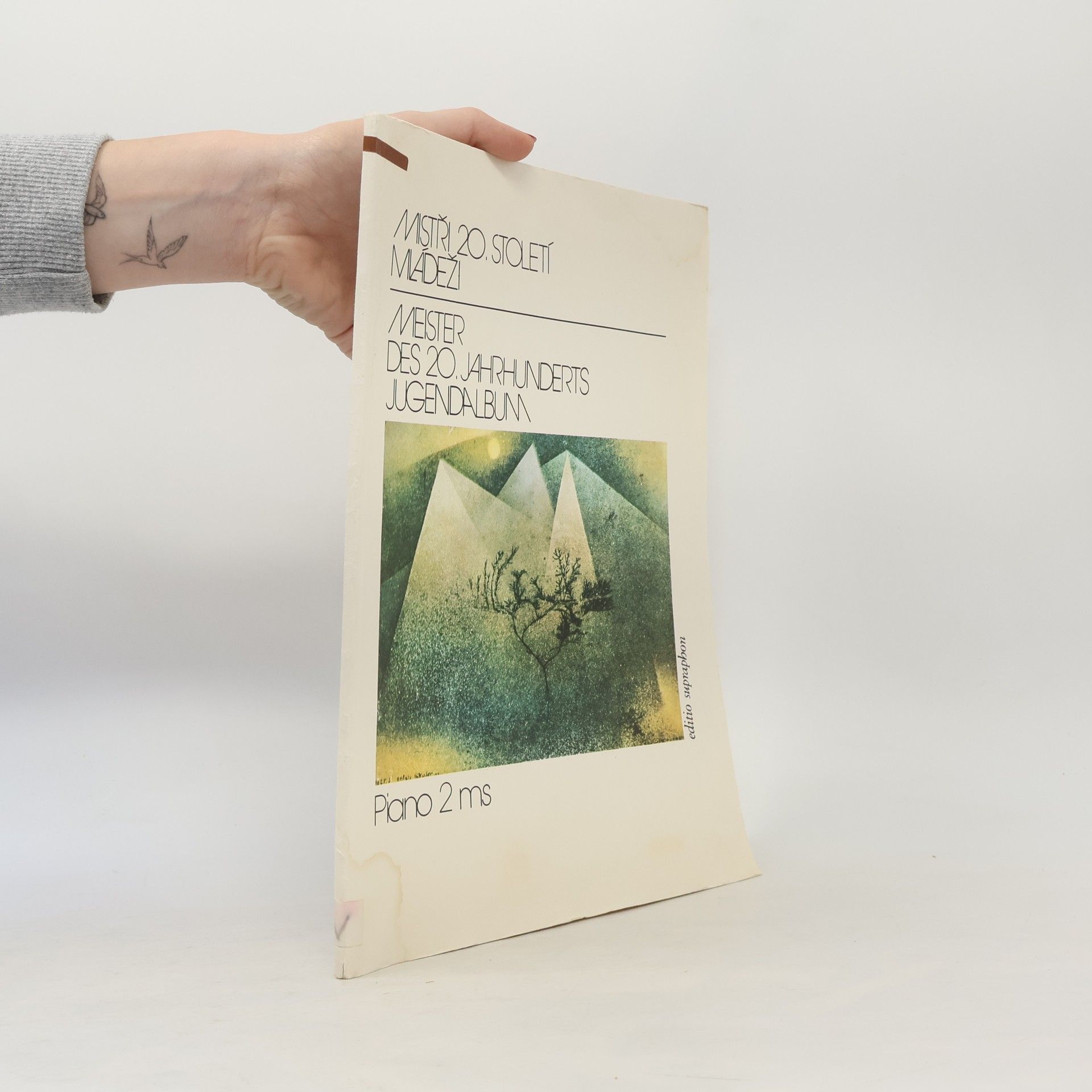 Collectif d'auteurs Mistři 20. století mládeži