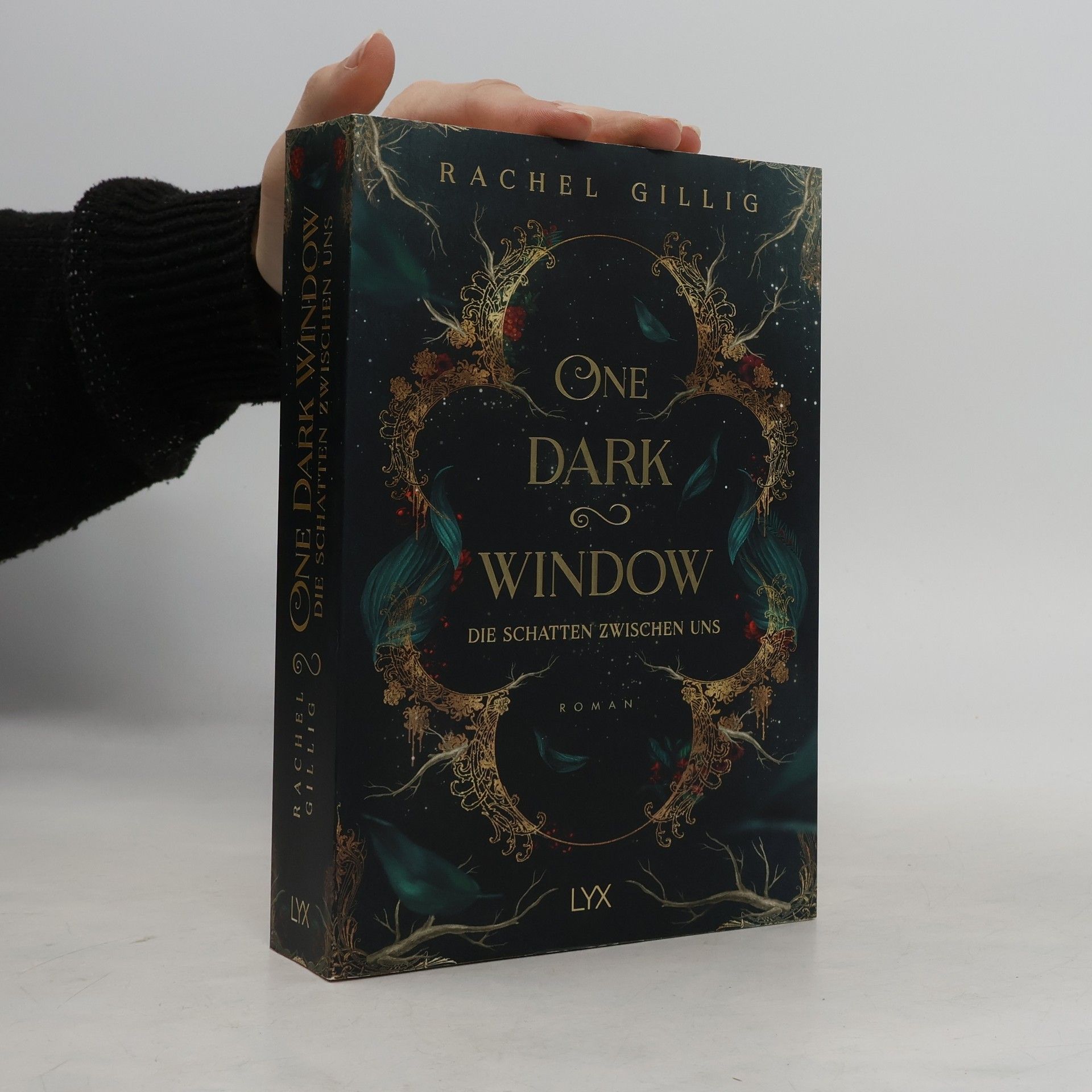 Rachel Gillig One Dark Window - Die Schatten zwischen uns