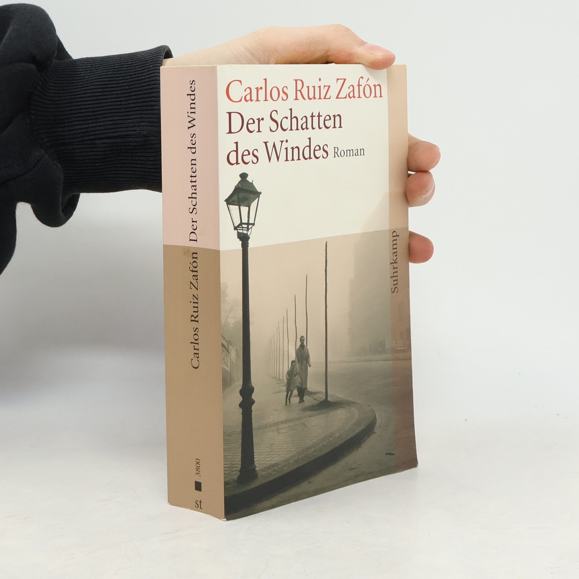 Carlos Ruiz Zafón Der Schatten des Windes